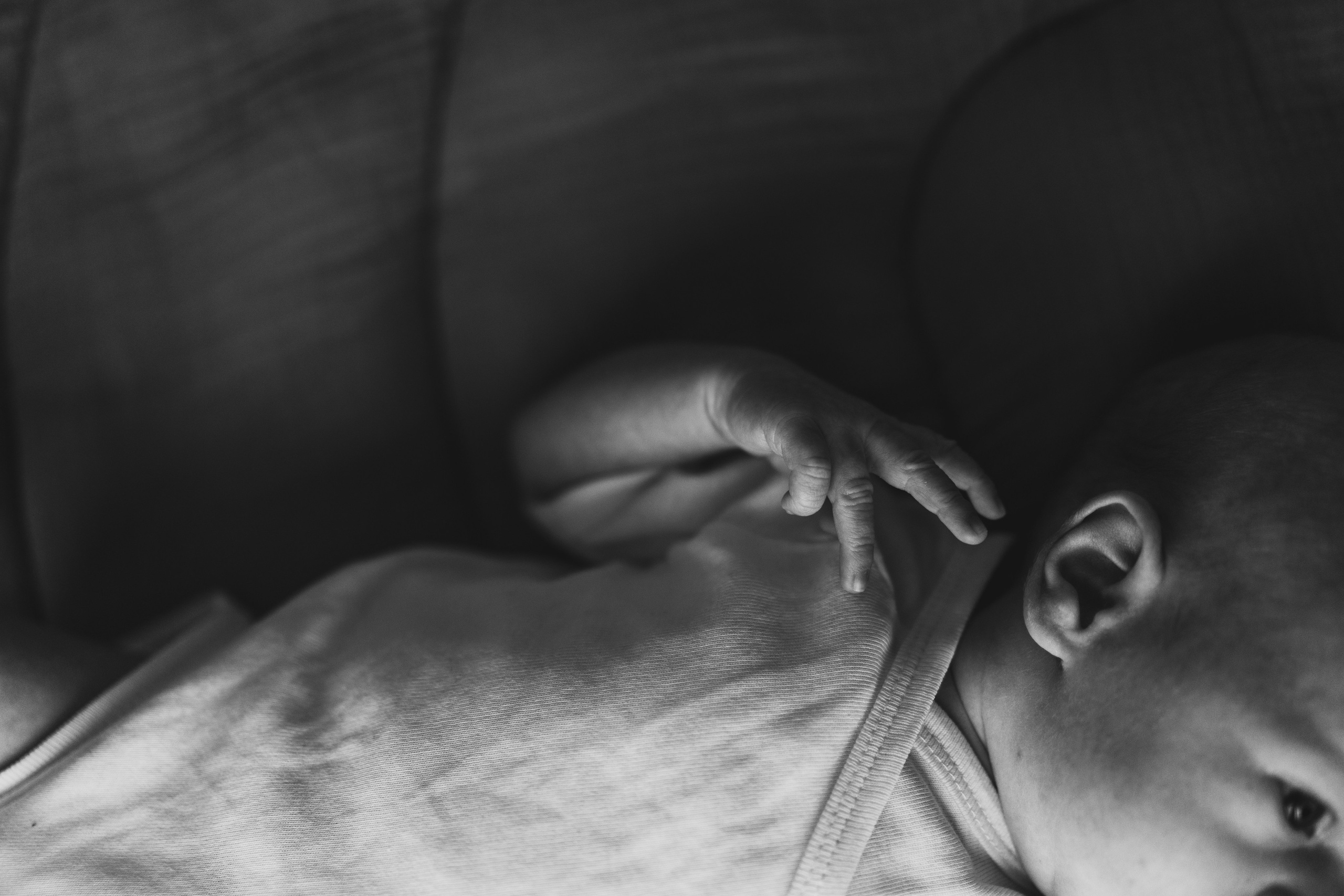 Фотографии. Семейный и детский фотограф и видеограф в Москве, Серпухове и Тарусе Валерия Сорокина