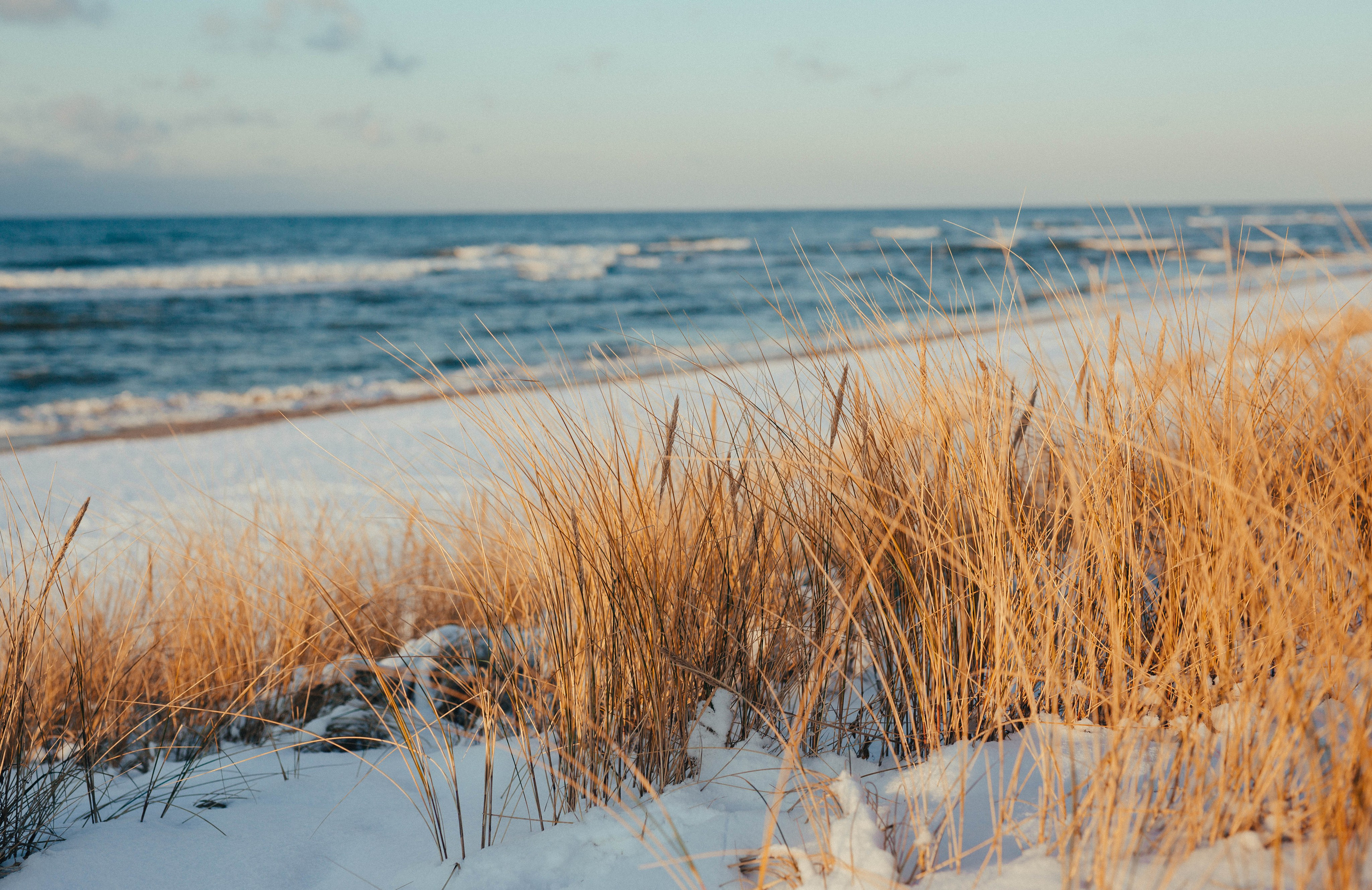 Море + ветер + чайки = Балтика. Фотограф Зеленоградск Красильникова Елена