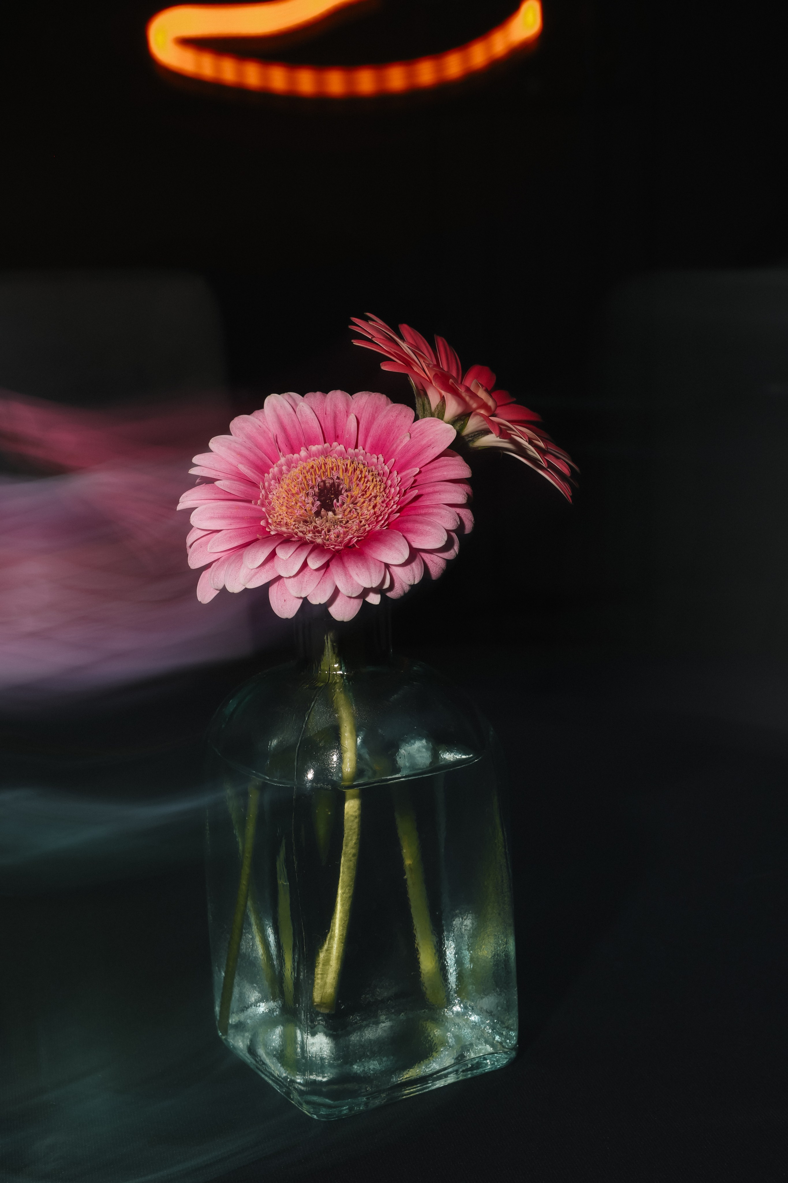 DENIS & ELIZAVETA Барвиха. Kharchenkotatianaweddingphoto