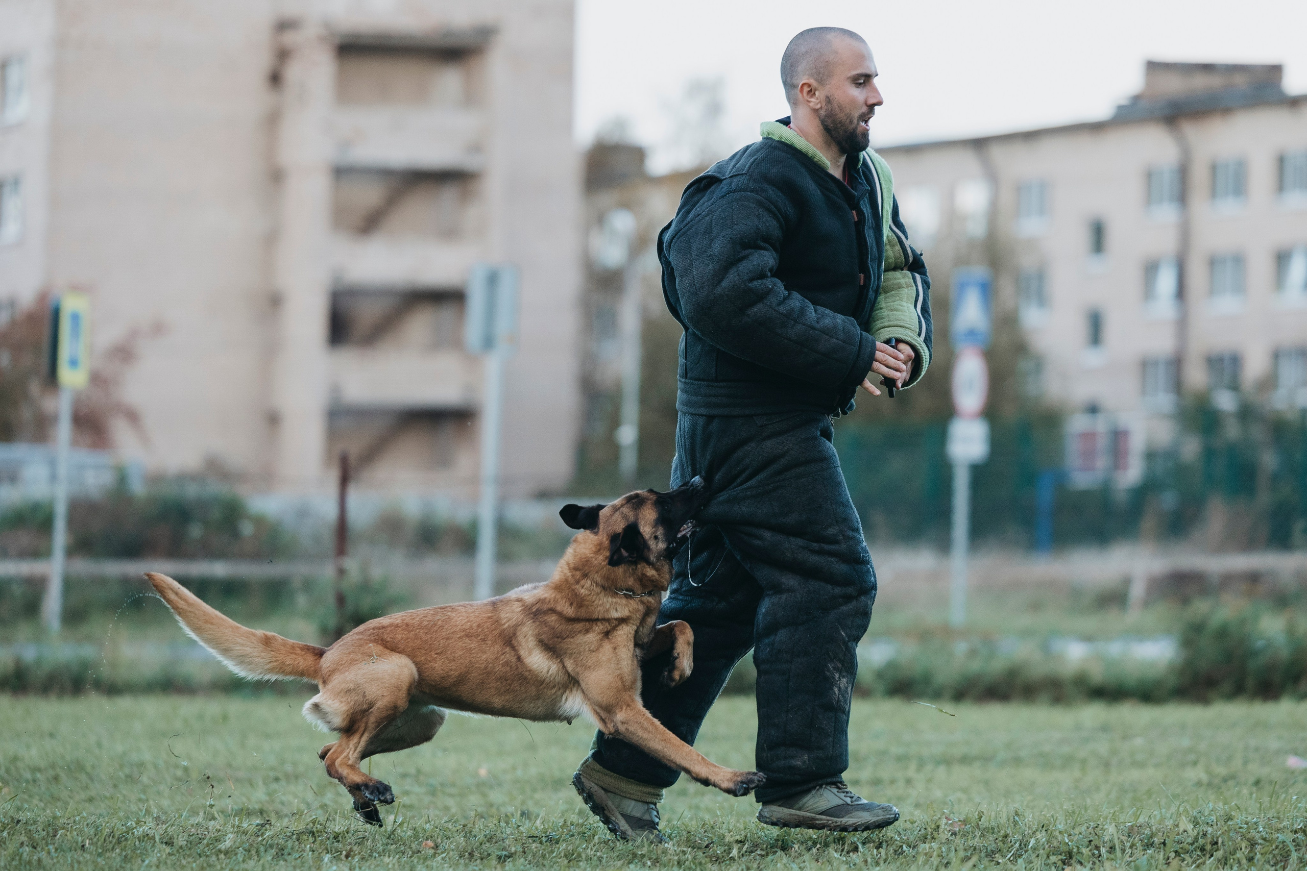 Испытания по мондьорингу г. Пушкин 29.09.2024. Фотограф-анималист Анна Маринич