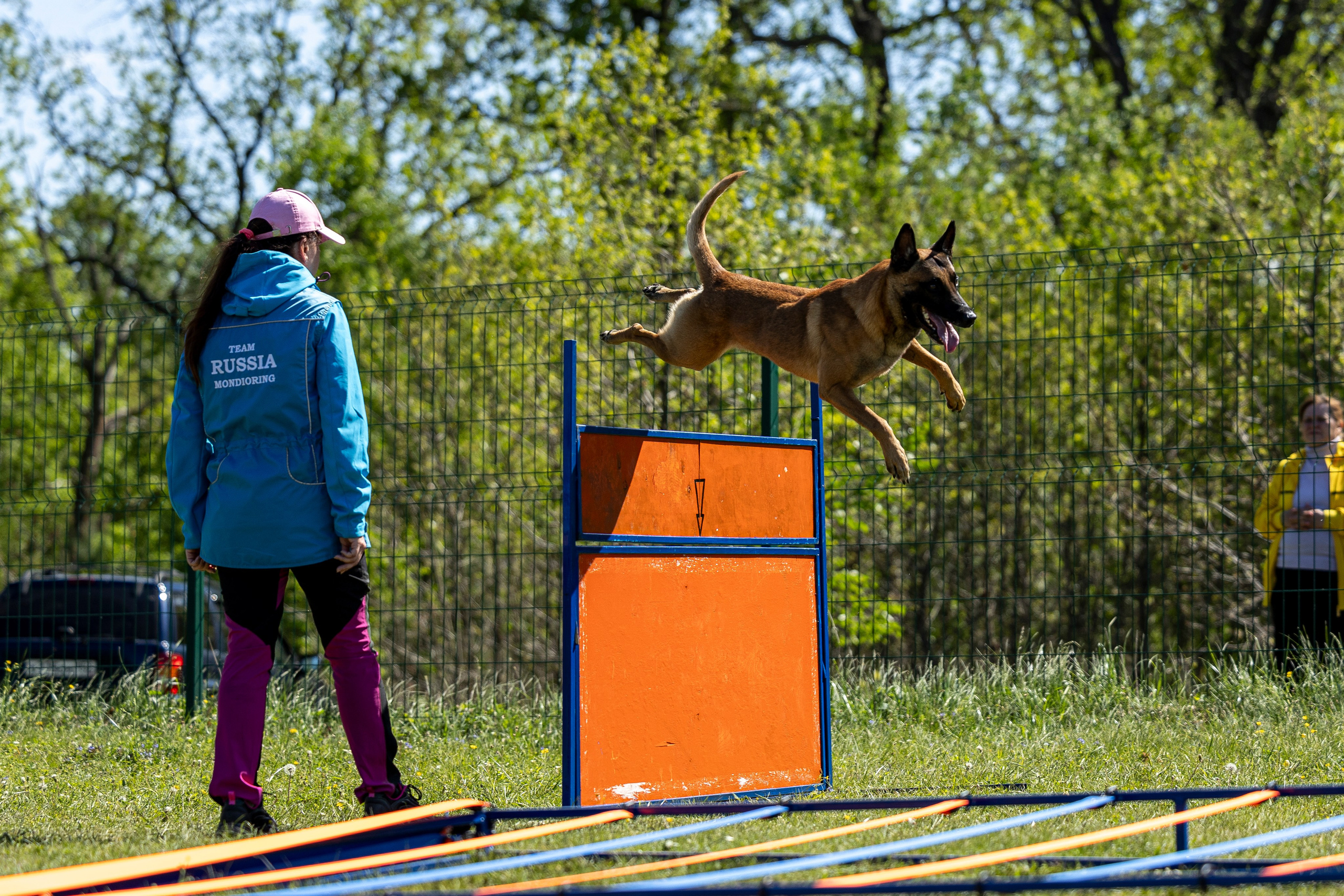 Испытания по мондьорингу в Нижнем Новгороде. Фотограф-анималист Анна Маринич