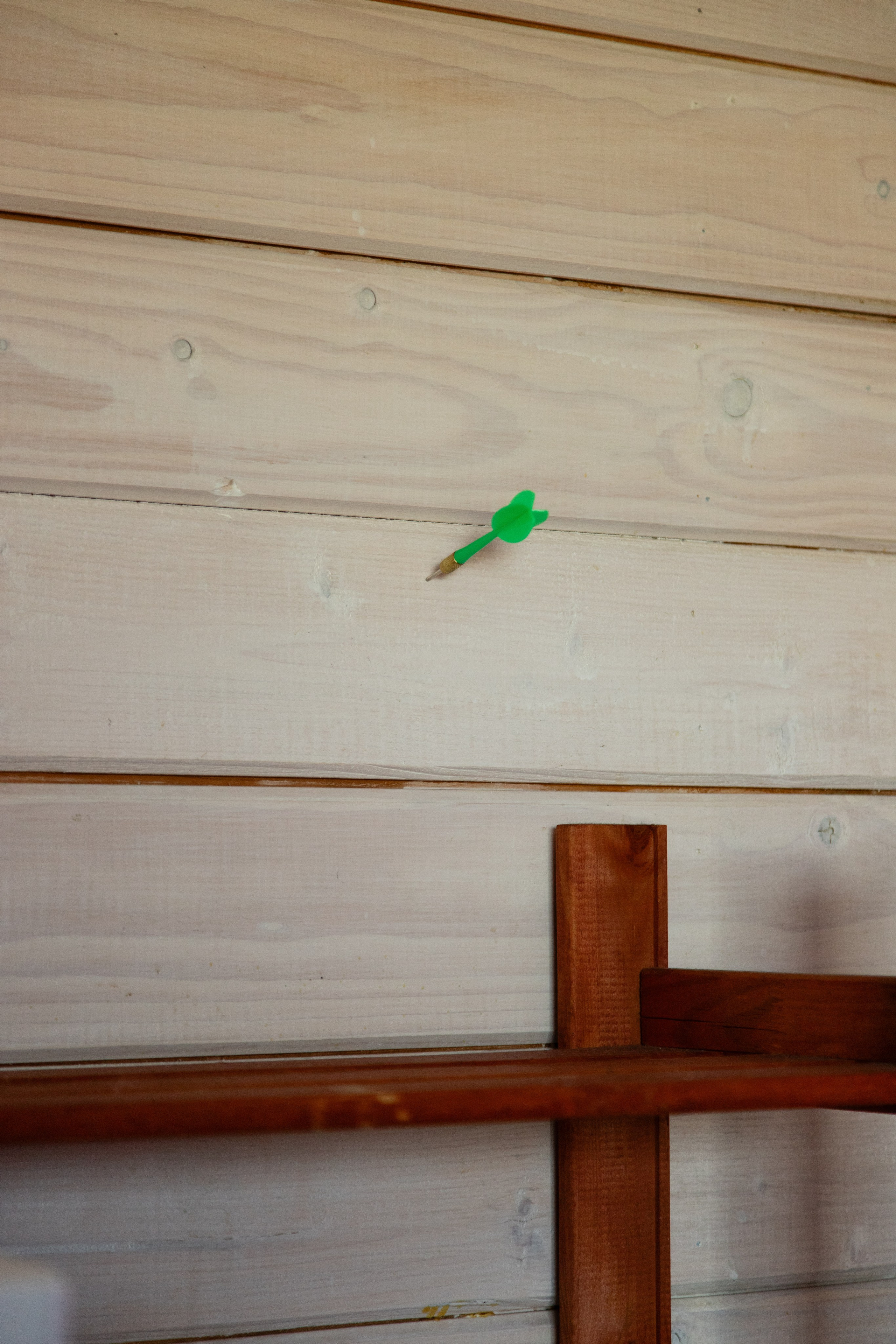 Шрек и Фиона. Свадебный фотограф в СПб и Москве Павел Сергеев