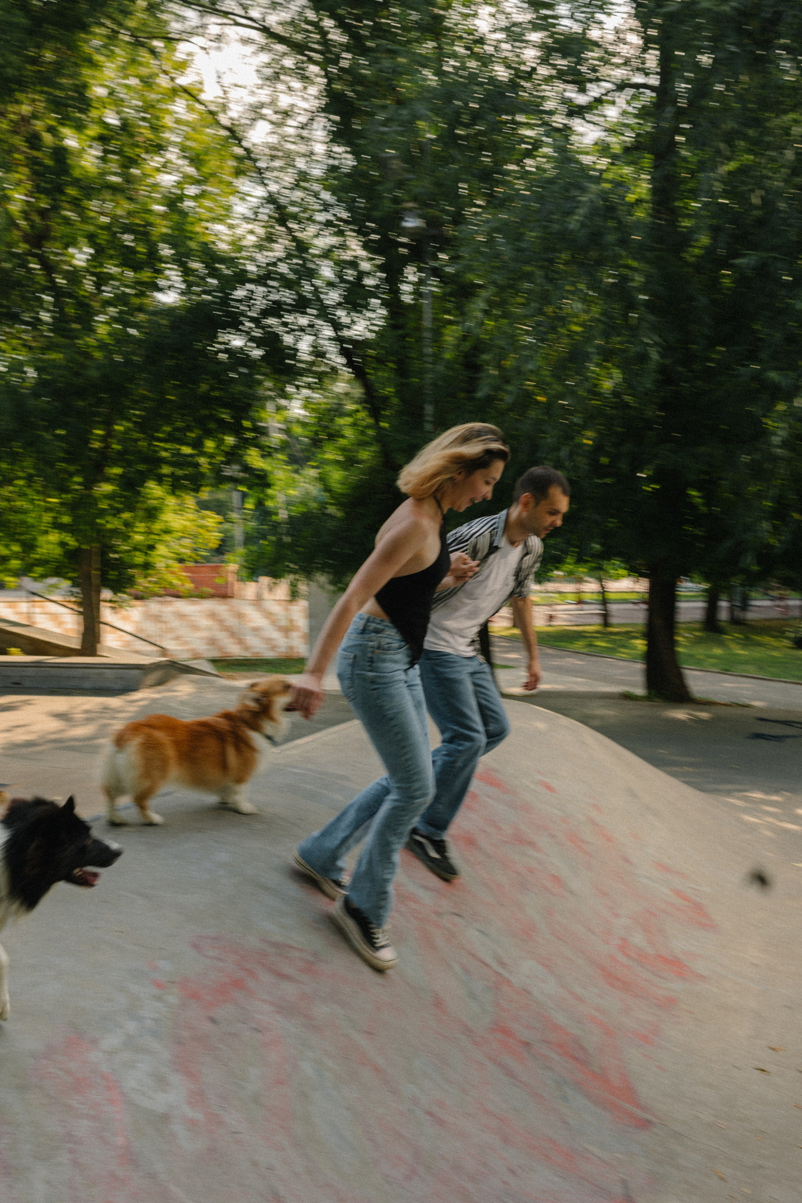 Брюс, Вейв и их ро. Фотораф — анималист Мария Шистка