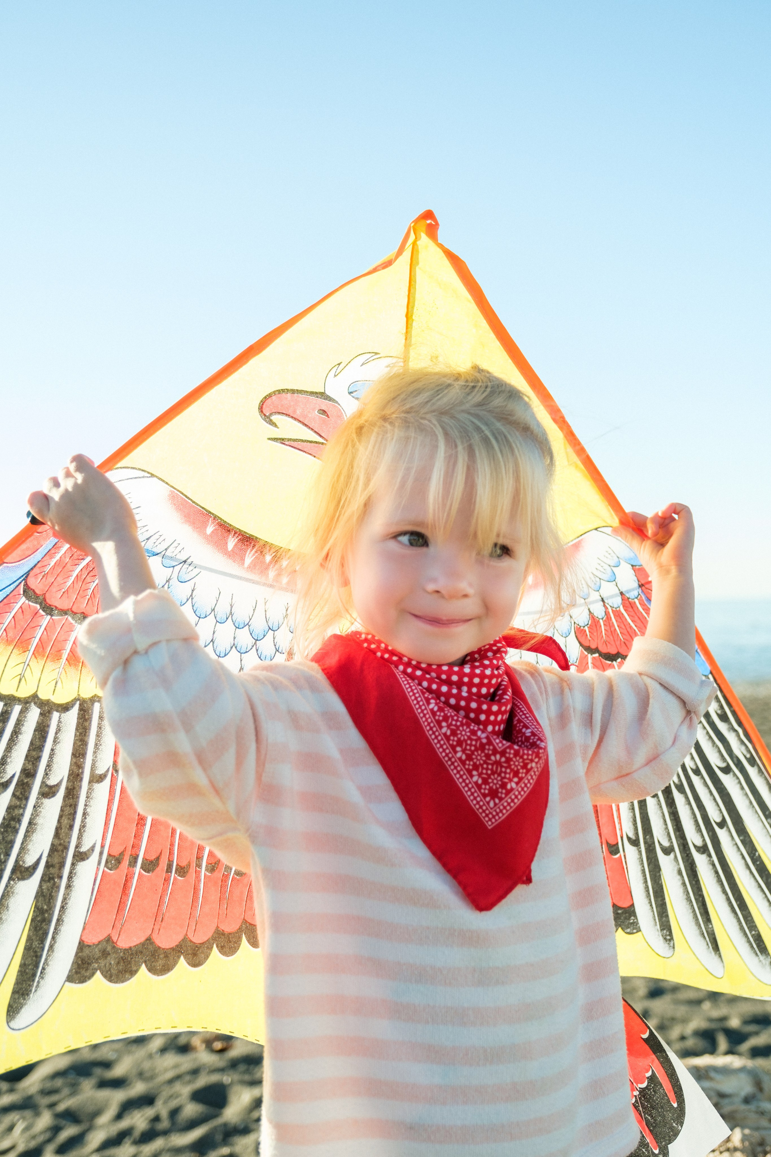 Воздушный змей. Свадебный Видеограф Фотограф в Сочи
