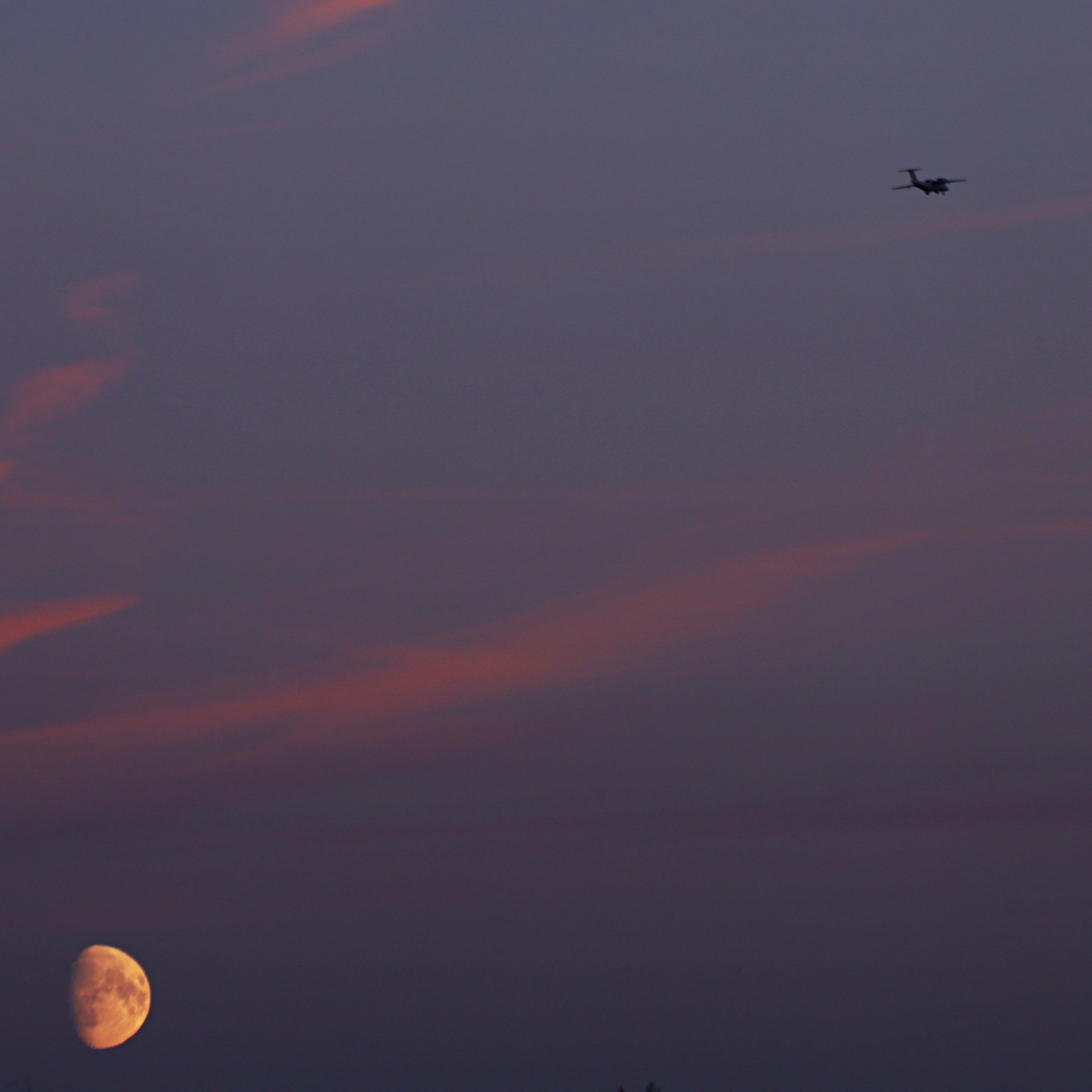 СПБ СТРИТ ______/ \__. СПБНЛО