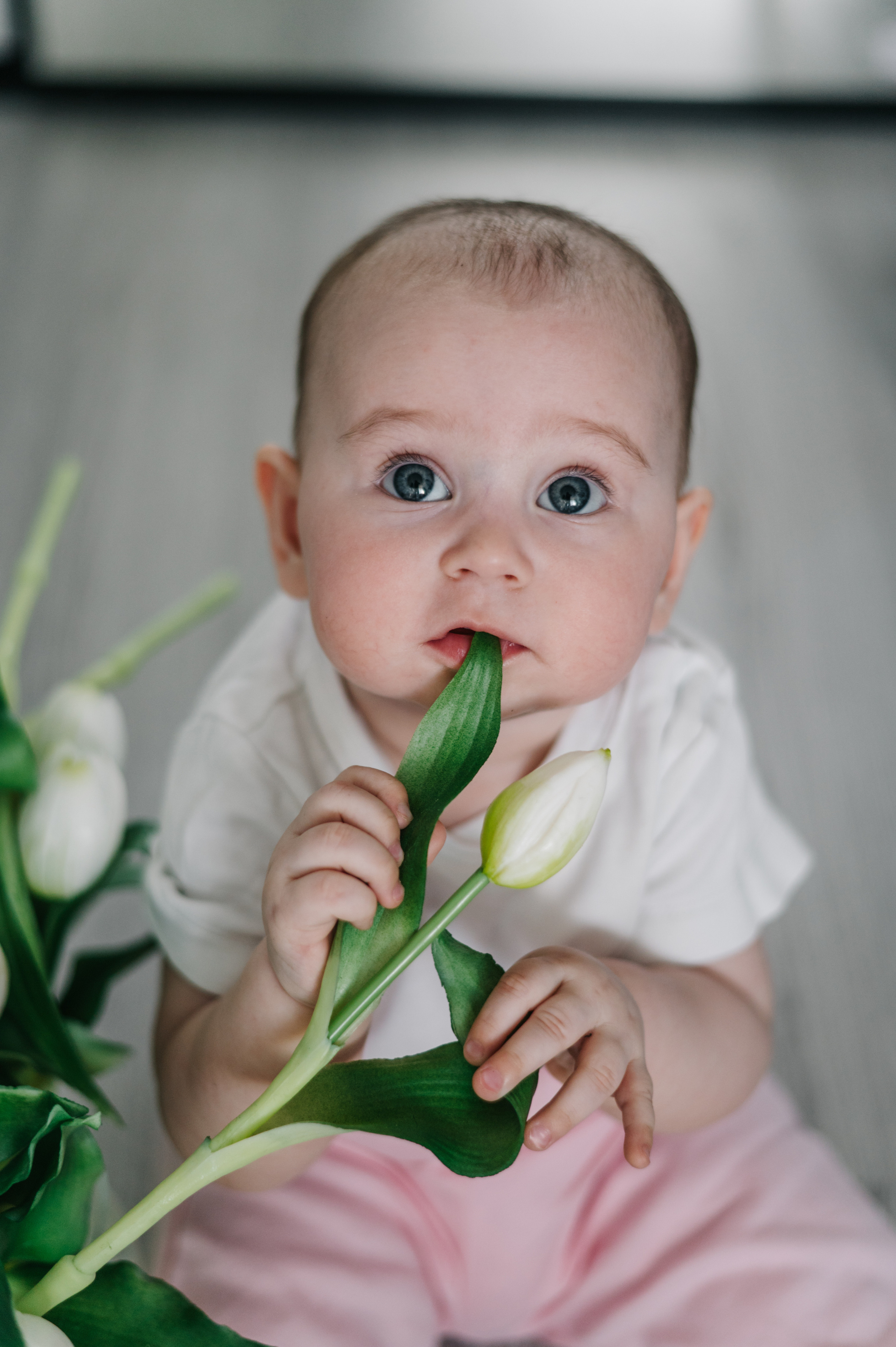 Лера, Миша и Соня. Фотограф Архангельск