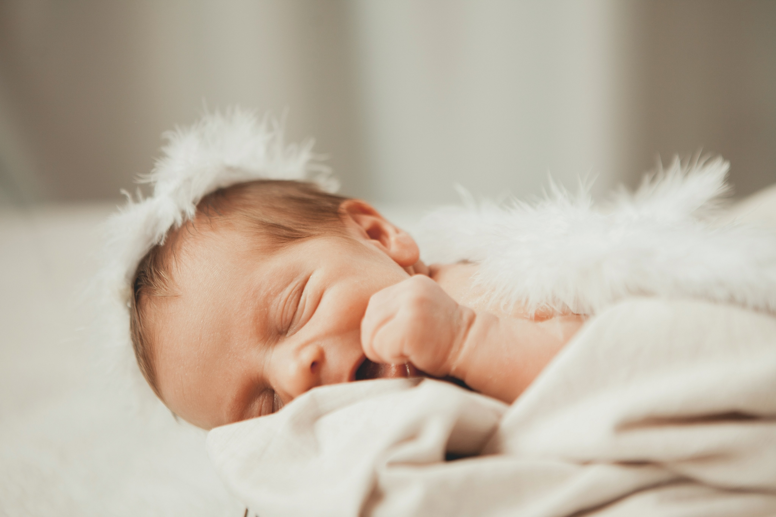 Гордей. Фотограф Ольга Ефремова