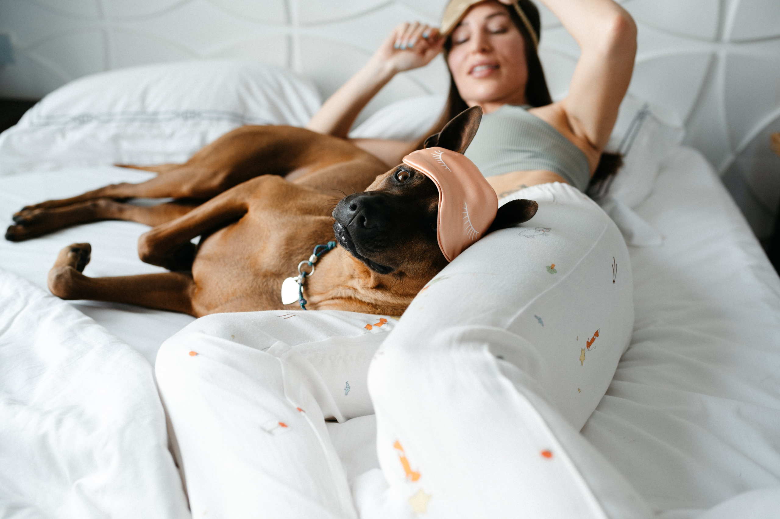 Оксана и Зевс. Фотограф анималист в Москве Ольга Агушева