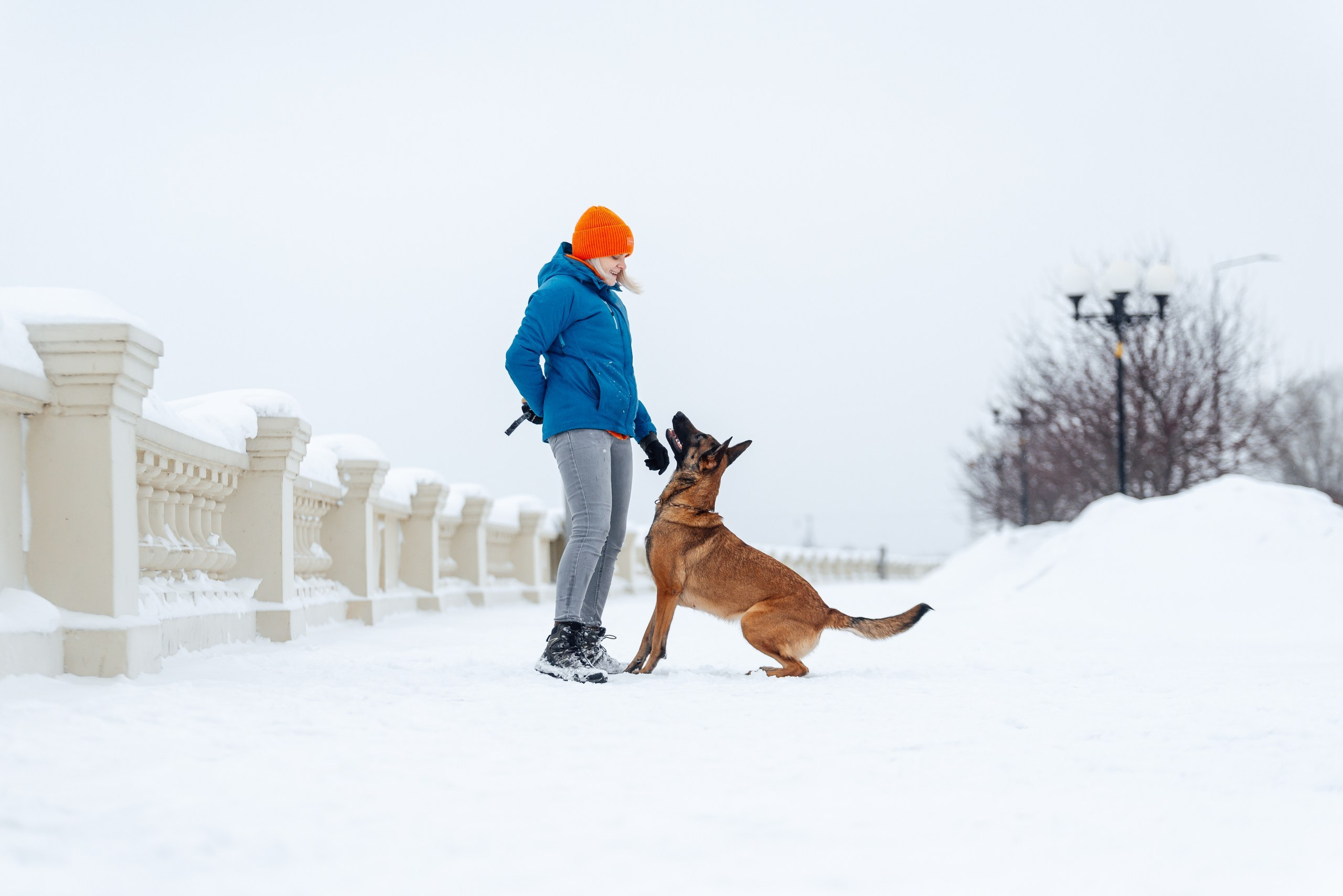 Кристина и Зума. Фотограф-анималист Анастасия Парфенова|Екатеринбург