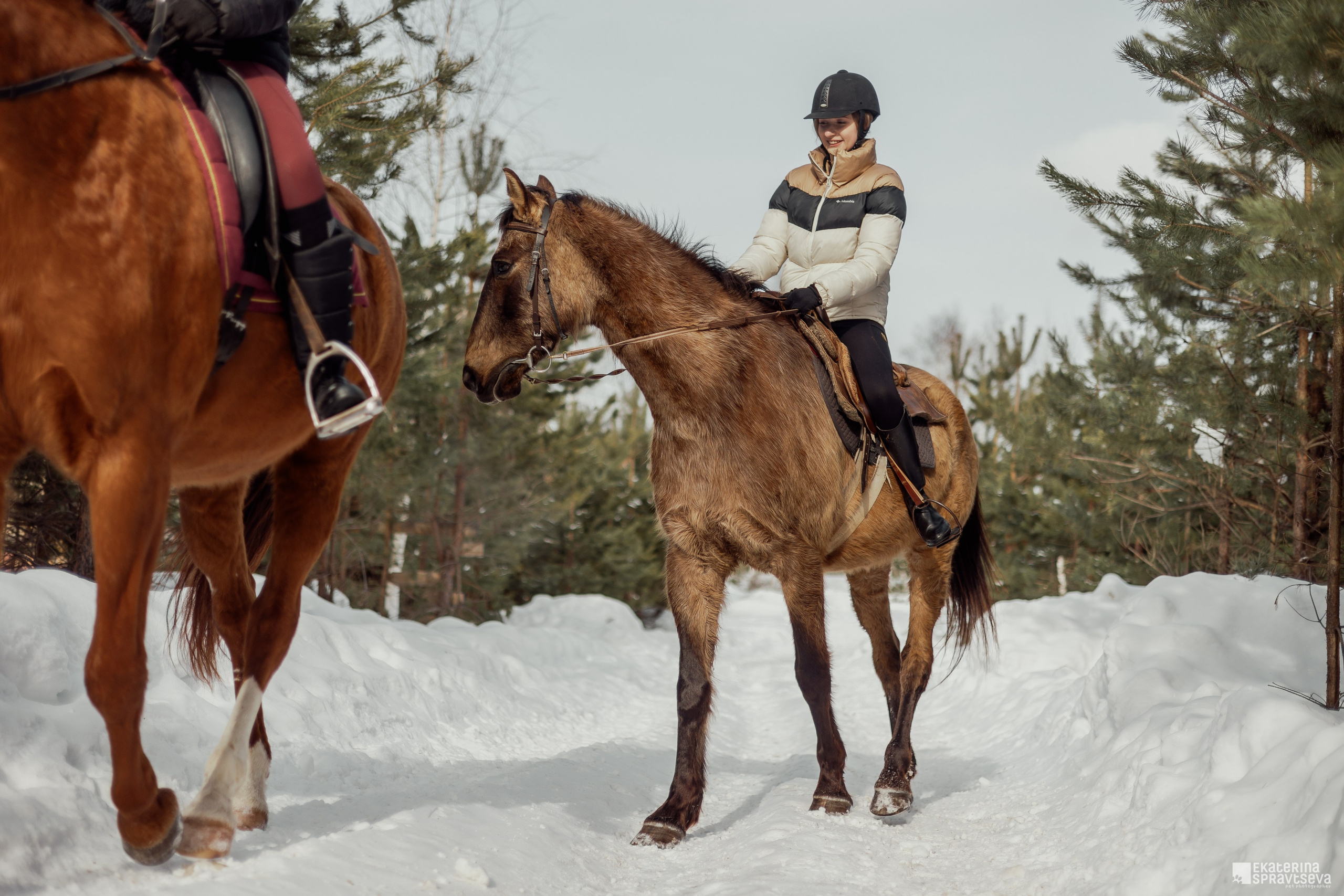 Среди грив и копыт. Фотограф Анималист Екатерина Справцева в Нижнем Новгороде