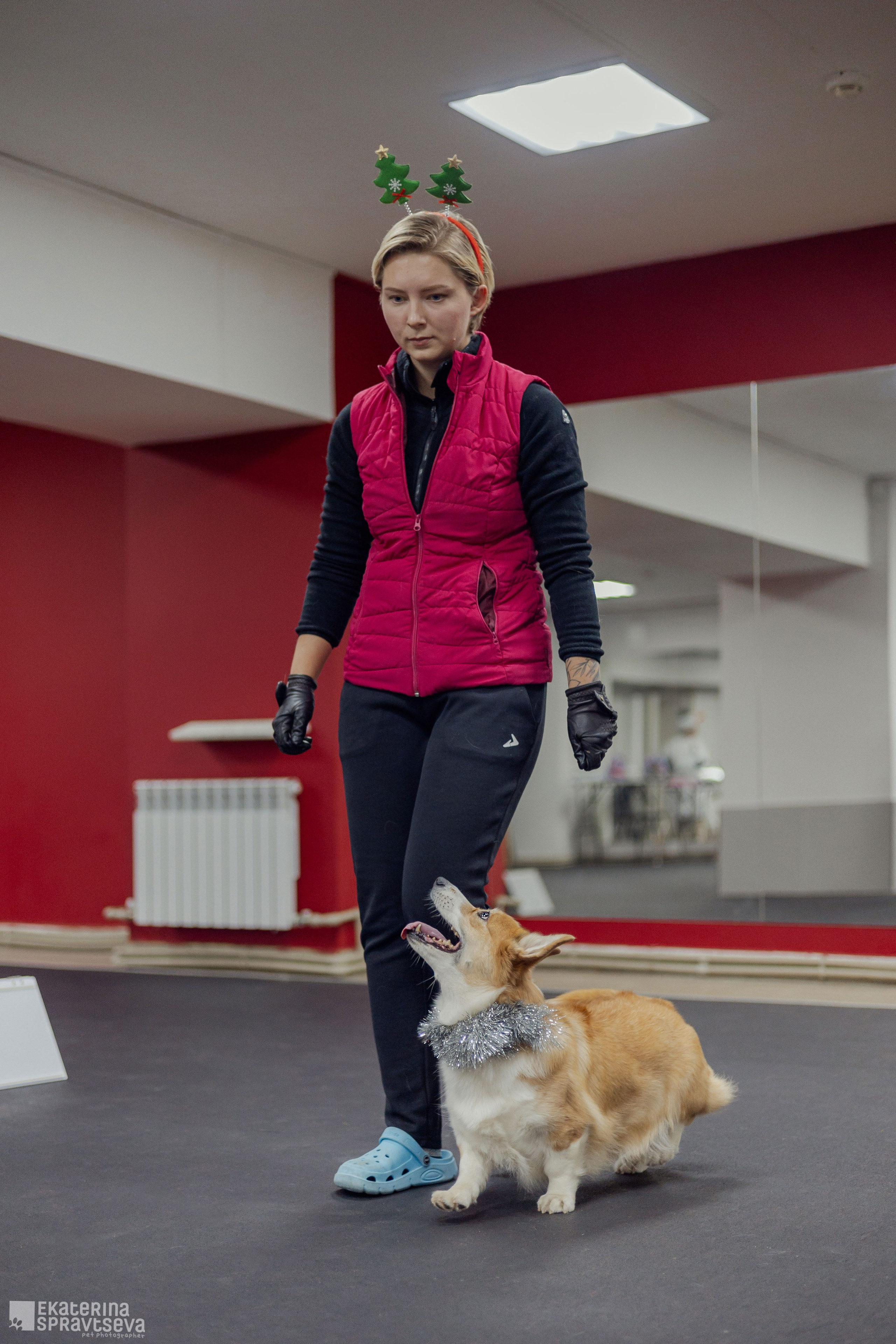 Новогодний Ралли-обидиенс. Фотограф Анималист Екатерина Справцева в Нижнем Новгороде