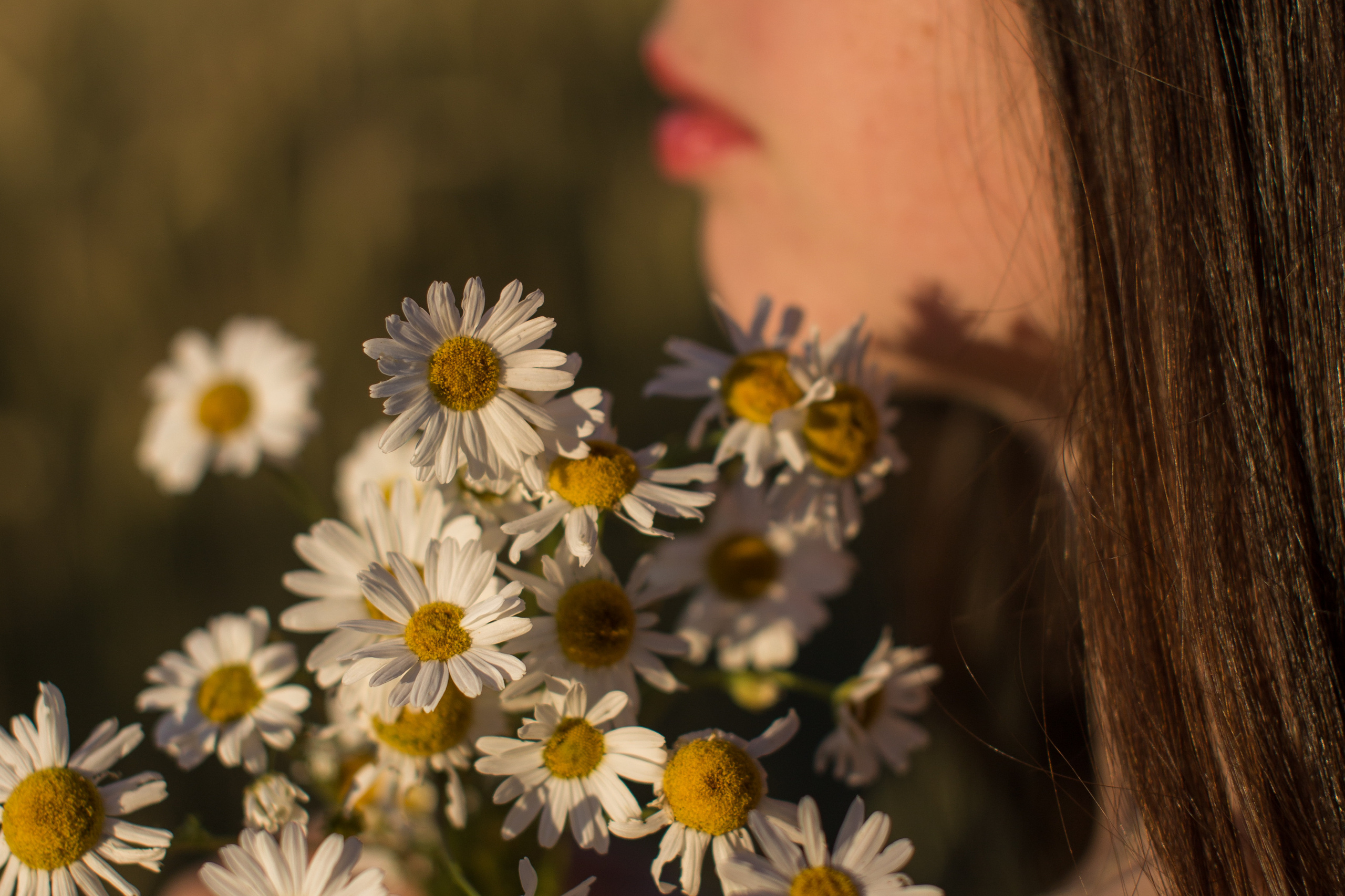 Алина в полях. Фотограф в Саратове Будимирова Ирина