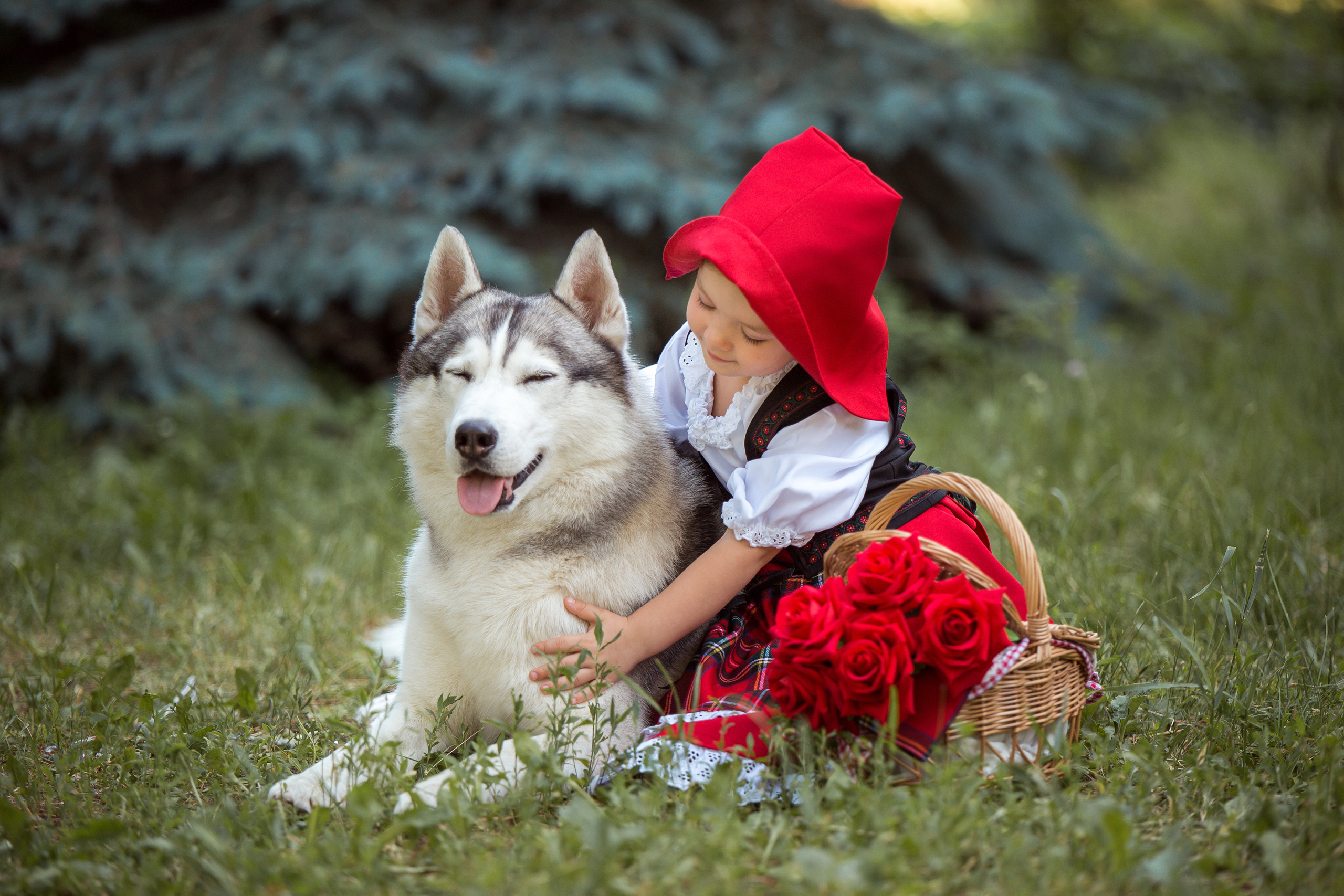 Красная шапочка. Фотограф в Саратове Будимирова Ирина