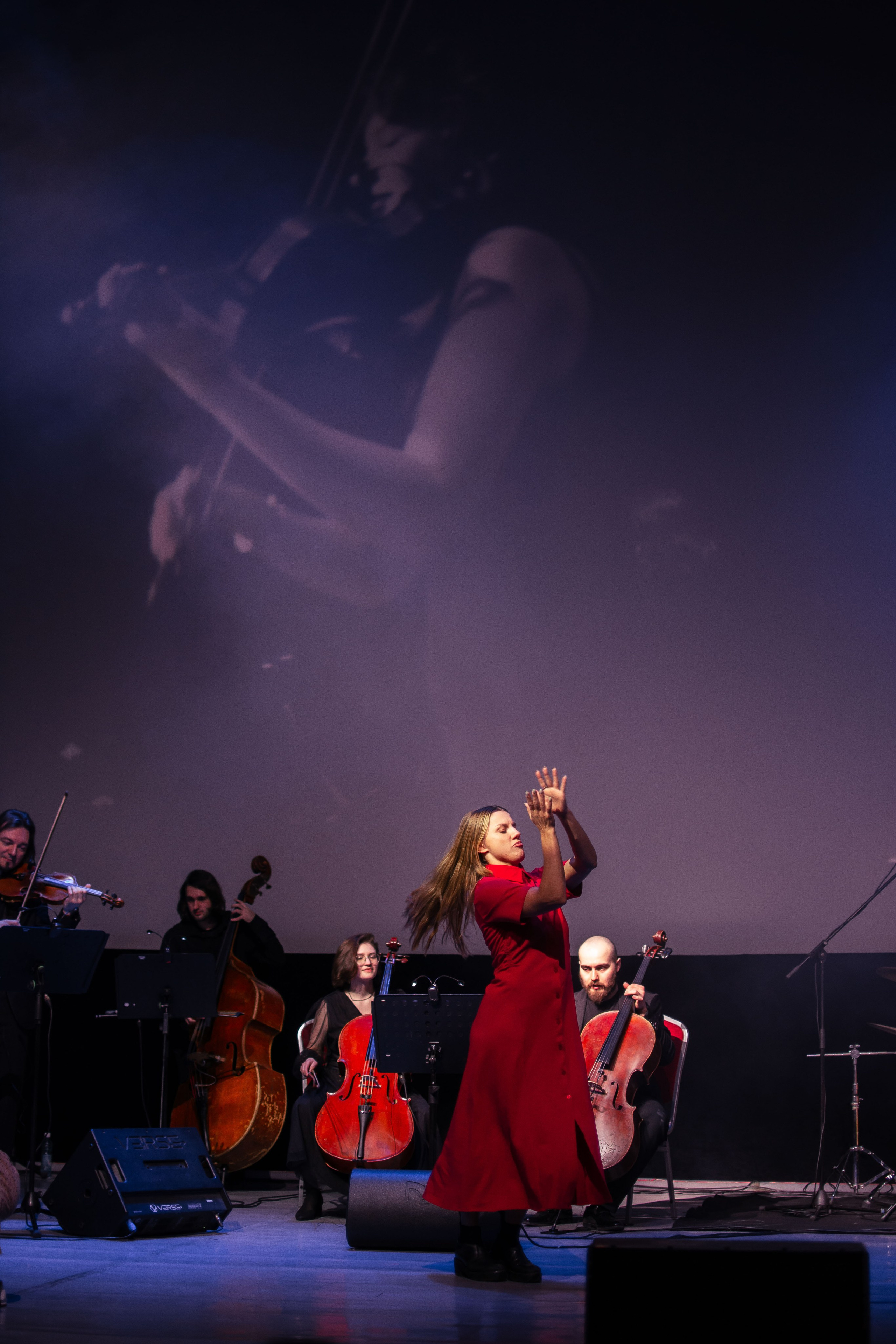 Концерт оркестра Cinematica. Репортажный фотограф в Новосибирске