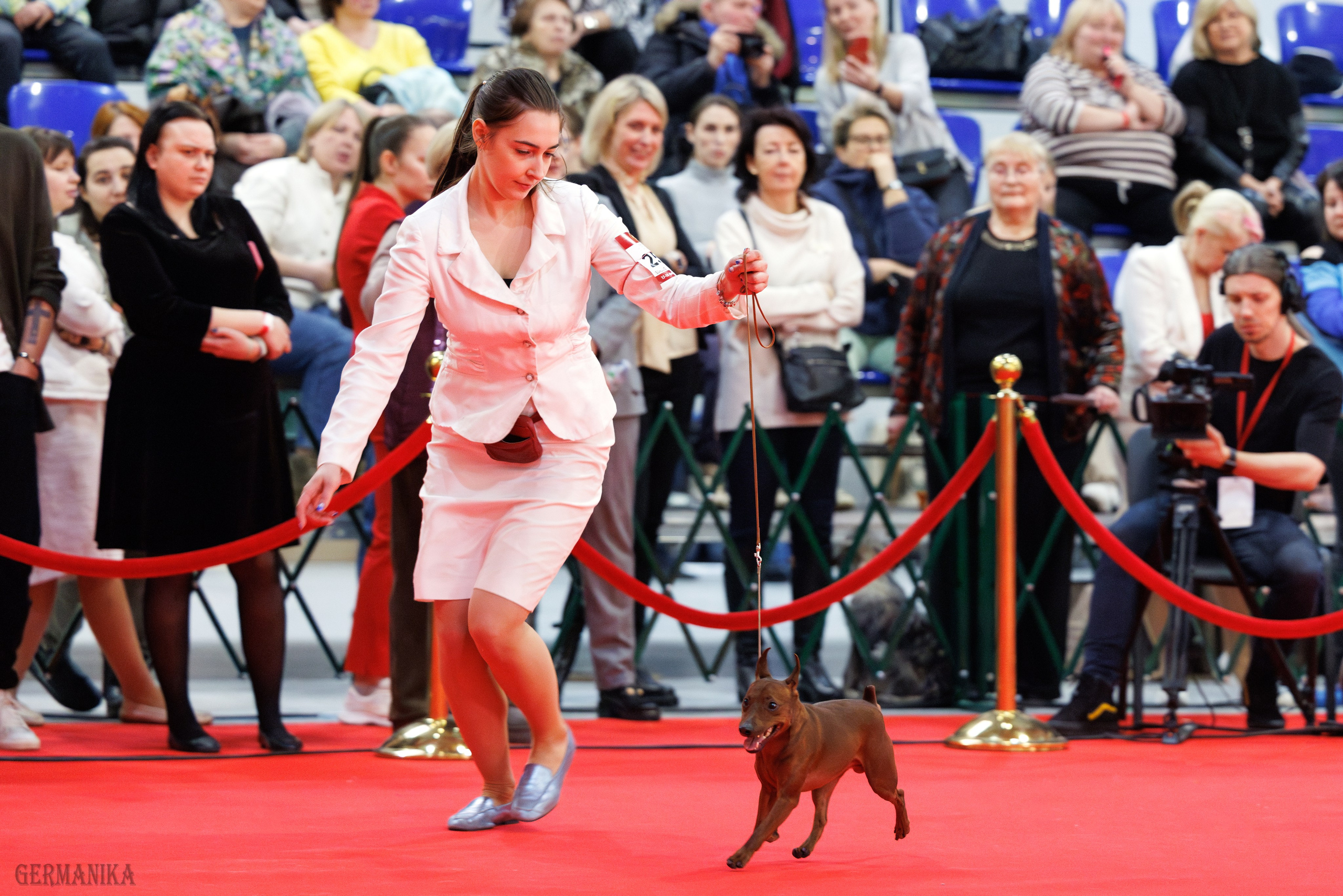 Лучшие Собаки России 17-18.02.2024. Фотограф-анималист Юлия Германика