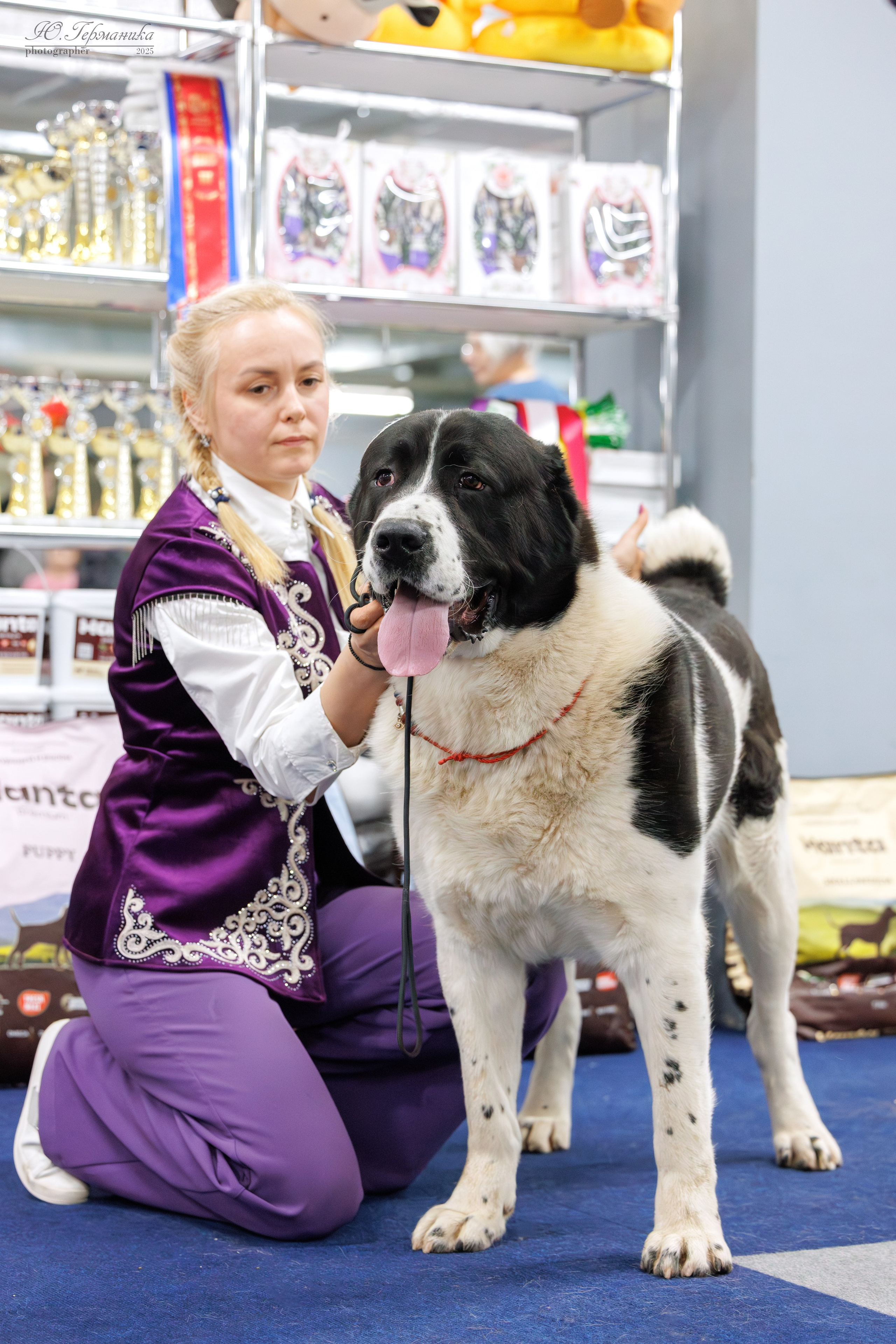 Сфера и Крокус 8,9,16 и 30.03.2025. Фотограф-анималист Юлия Германика