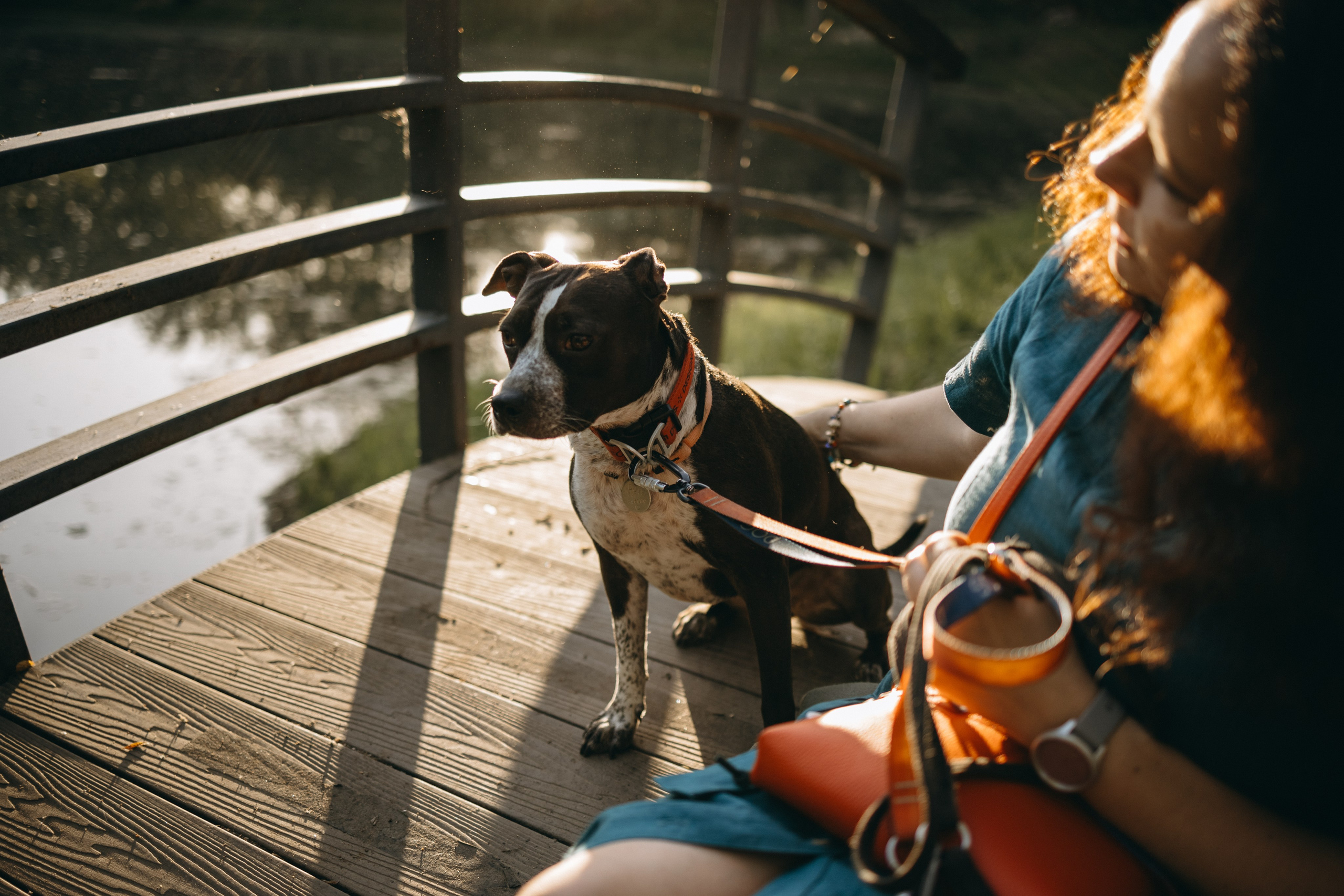 Татьяна, Сергей и их Булочка и Пончик. Фотограф — Анималист | Санкт-Петербург