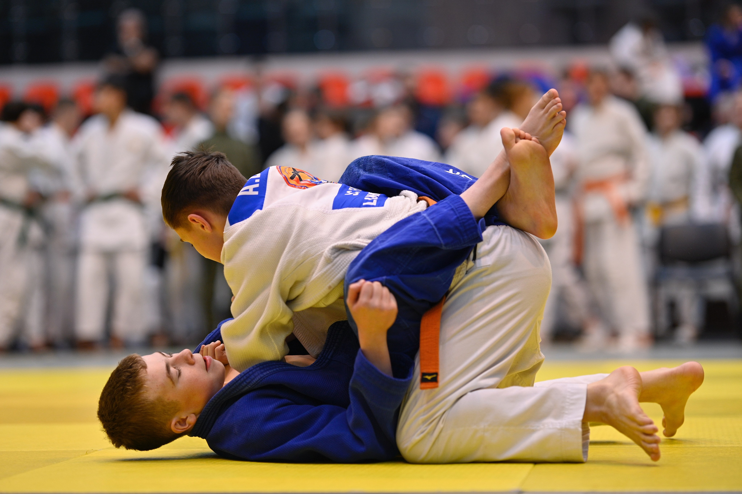 Турнир по дзюдо памяти Андрея Завьялкина. Фотограф Ваших событий 📸