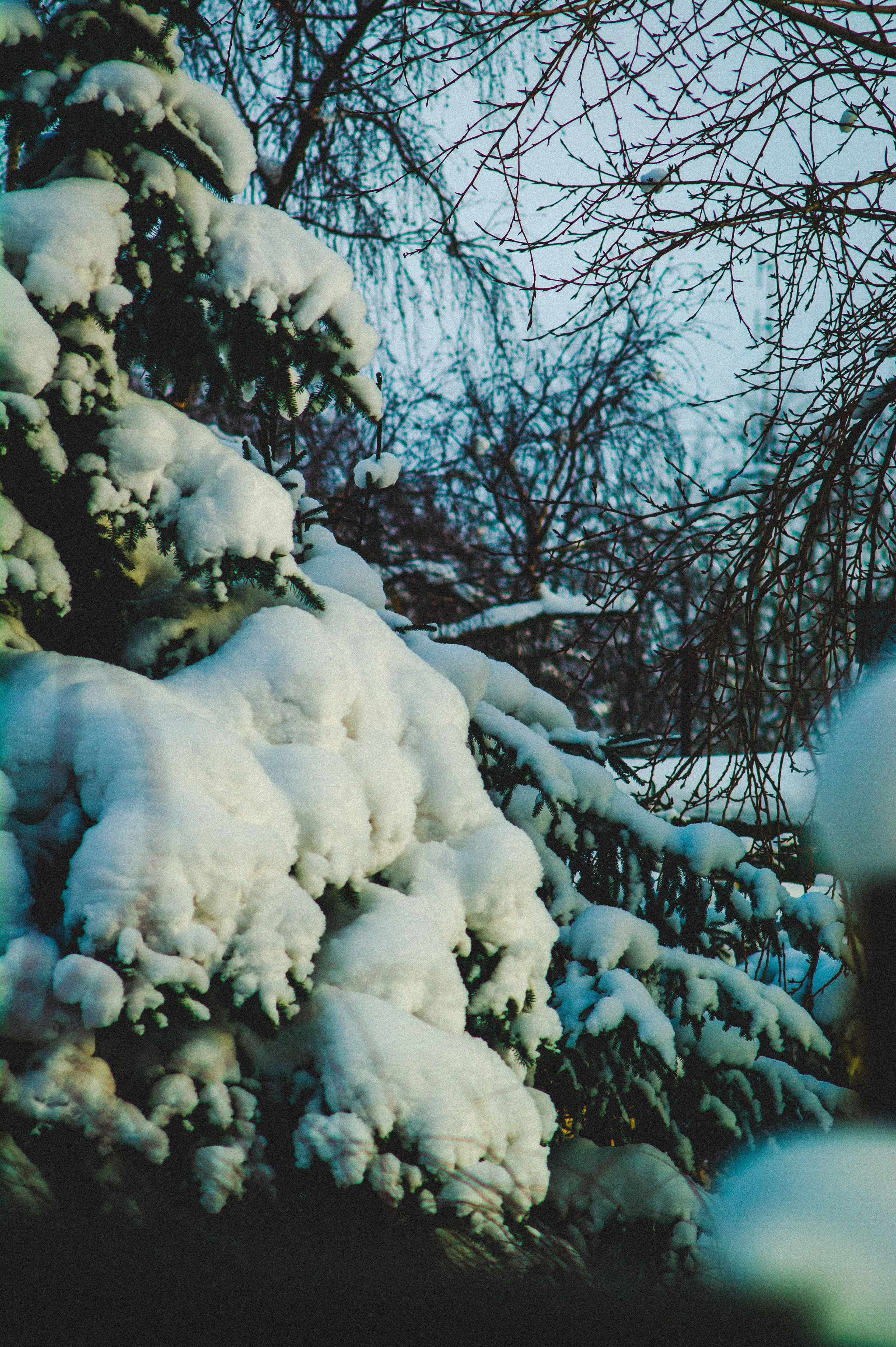 Обед. Den Mirov — Фотограф, Музыкант