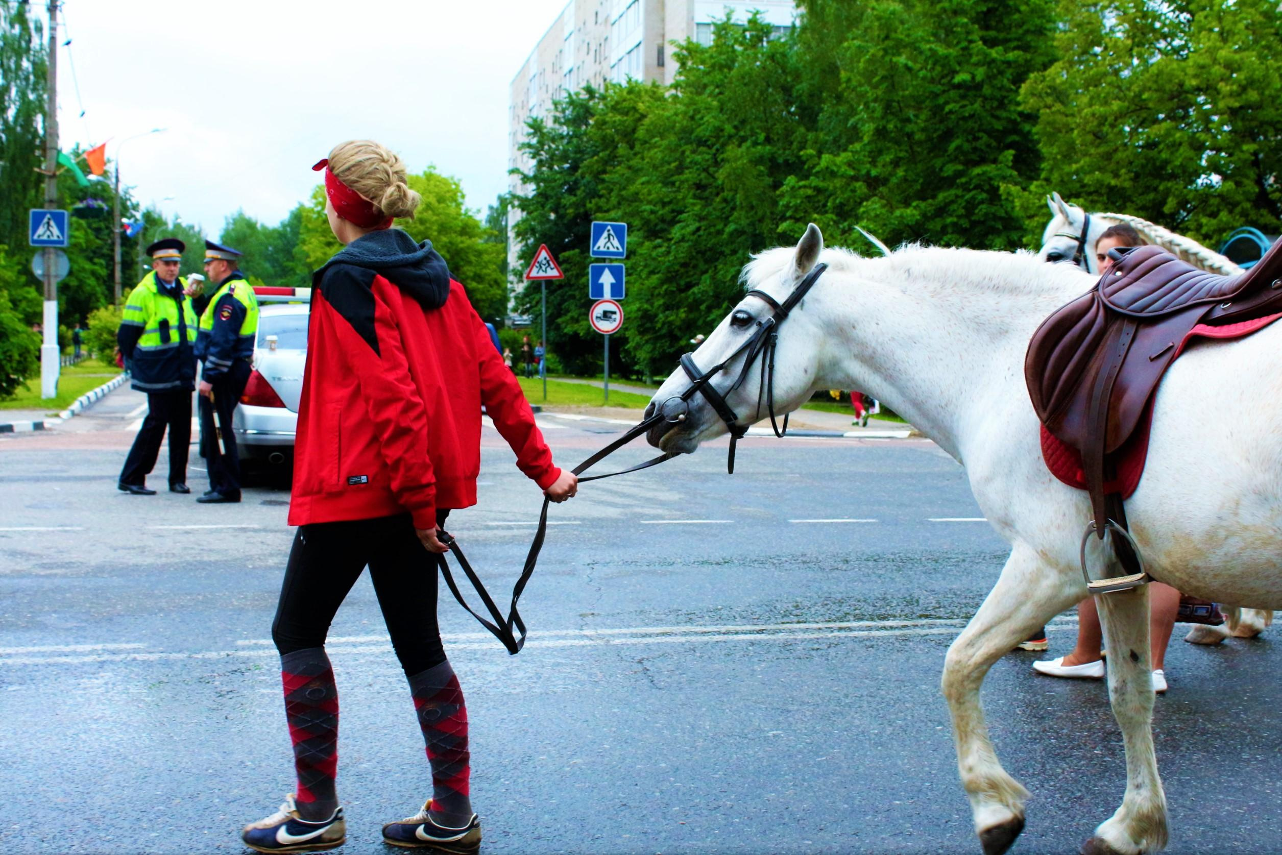 9 Мая. г. Истра. Профессиональный фотограф в Москве и МО