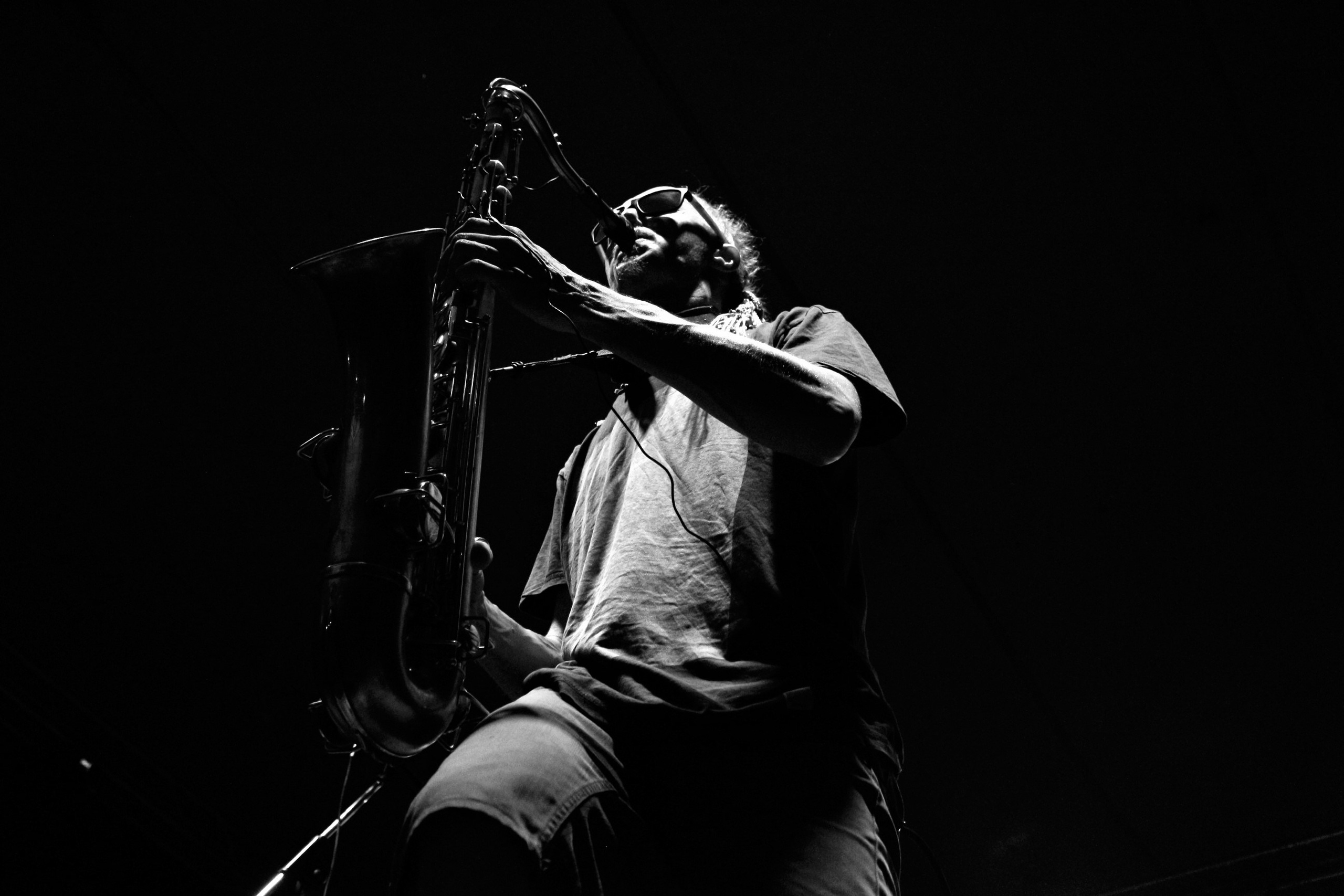 Istra Jazz Park. Профессиональный фотограф в Москве и МО