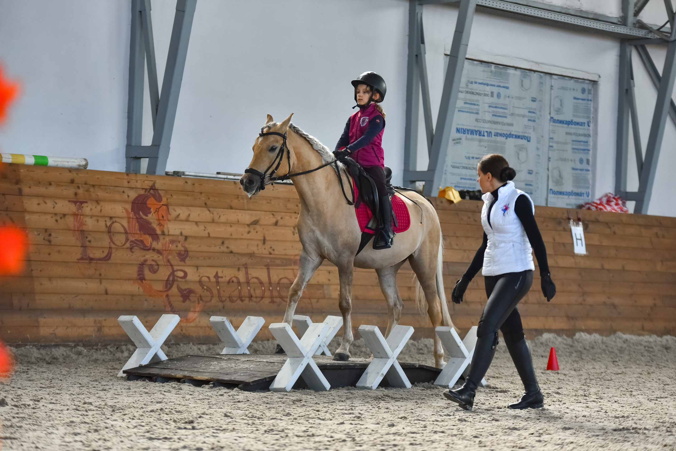 Репортажная съемка конных мероприятий. Конный фотограф из Москвы Ирина Бондаркова
