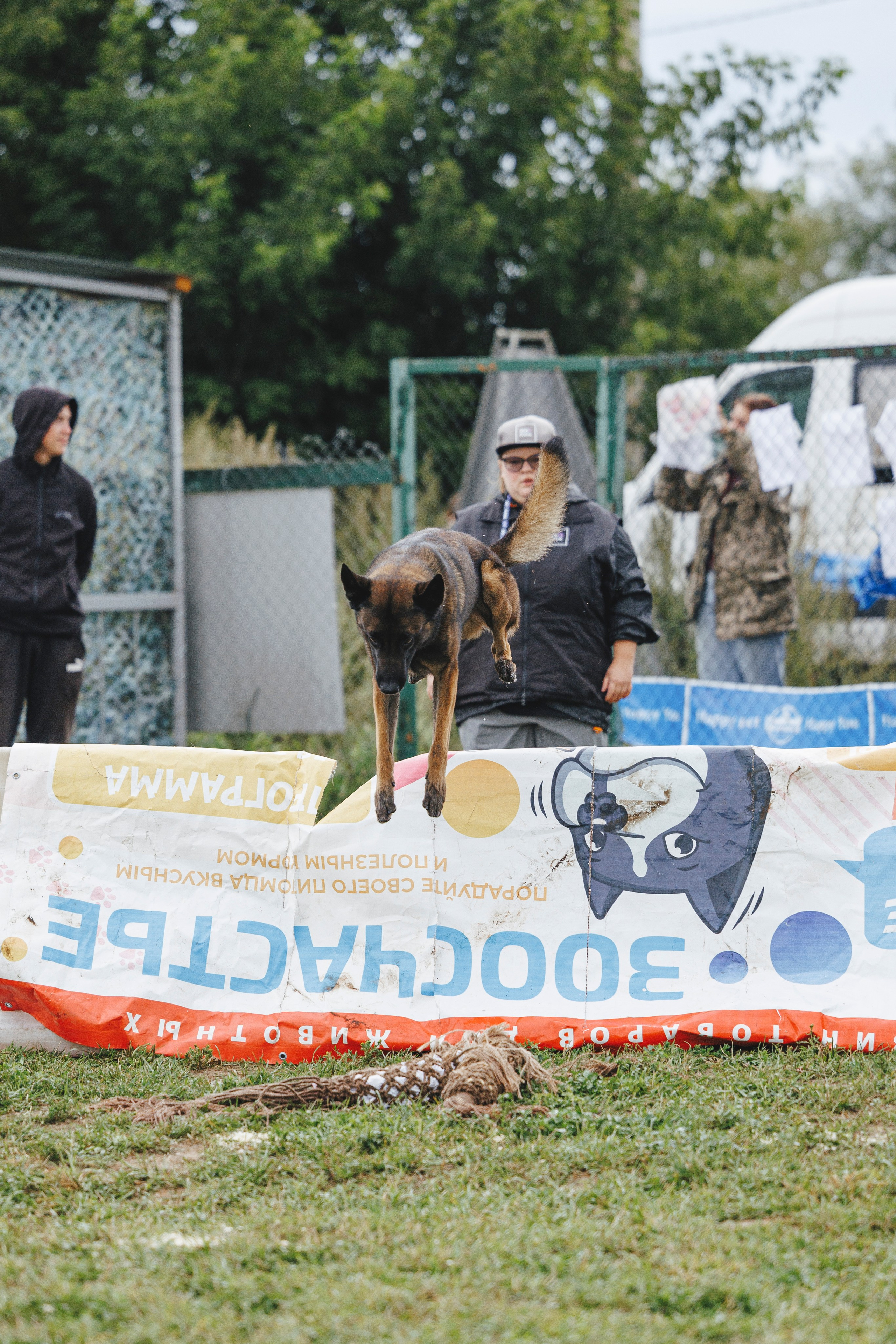 08.08.25-10.08.25 ЧР по мондьорингу г. Вологда. Фотограф-анималист Анна Маринич