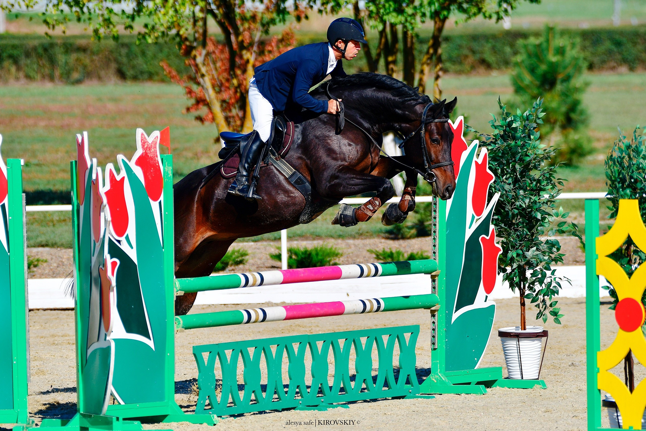 Кировский конный завод. Конный фотограф Alesya Safe