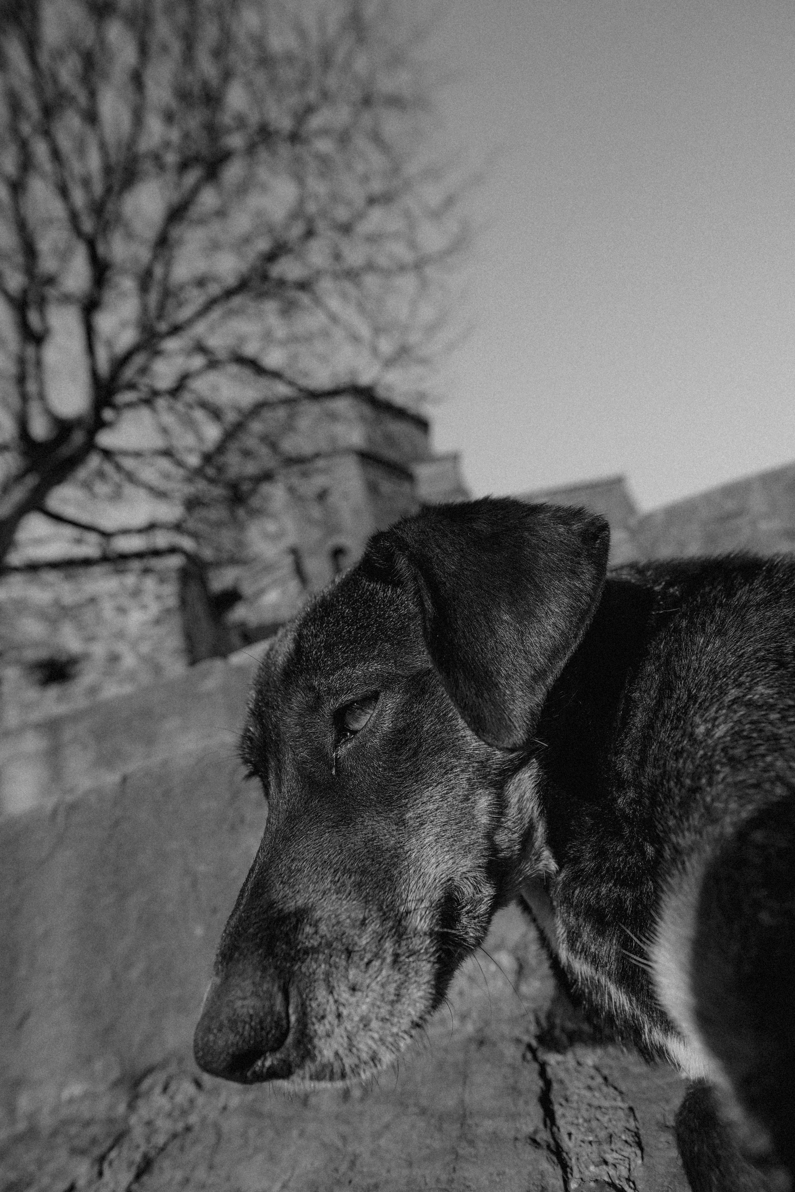 ТБИЛИСИ 2023-2024. Стрит-фотография, полная абсурда, идиотизма и красоты