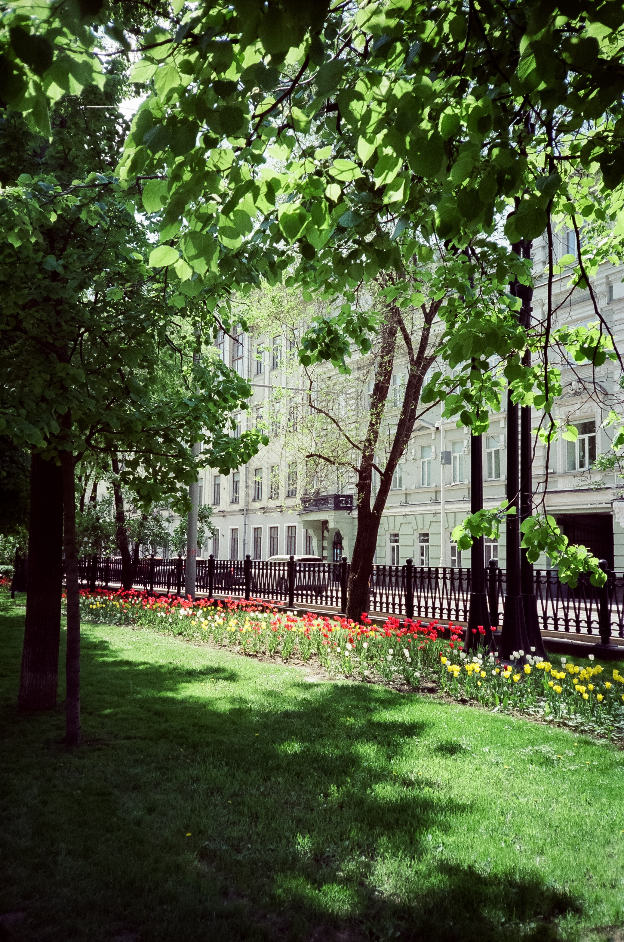 фотография на пленку Чистые Пруды