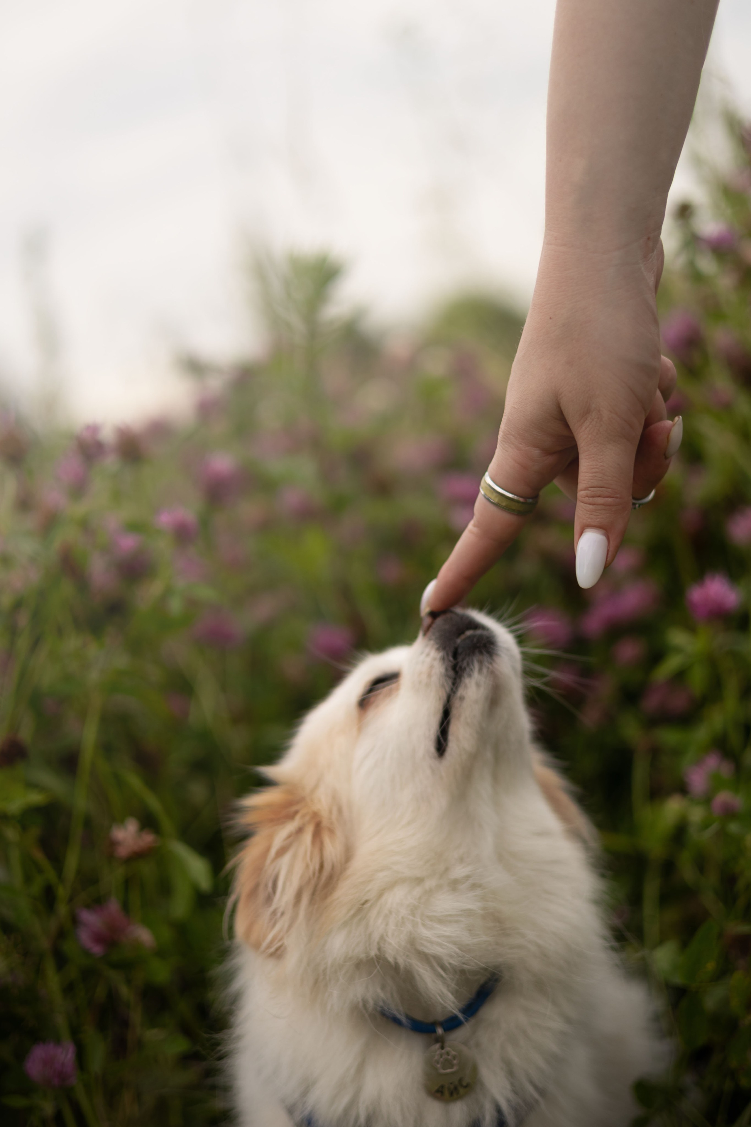 Александра и Айс. Фотограф животных Евгения Верцинская