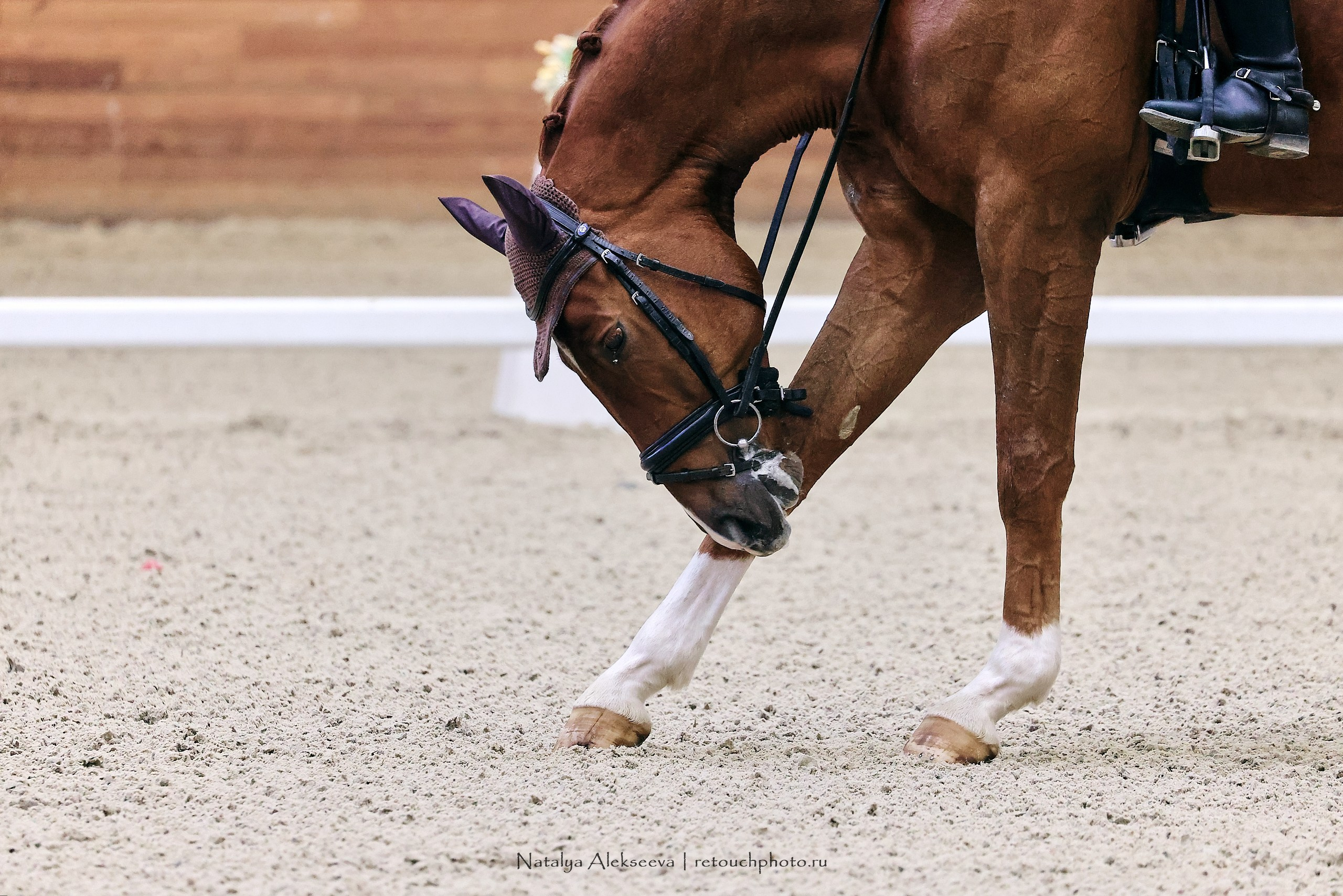 Финал Maxima Park по выездке, Maxima Stables | 10'2023. Репортажный фотограф и ретушер в Москве Наталья Алексеева