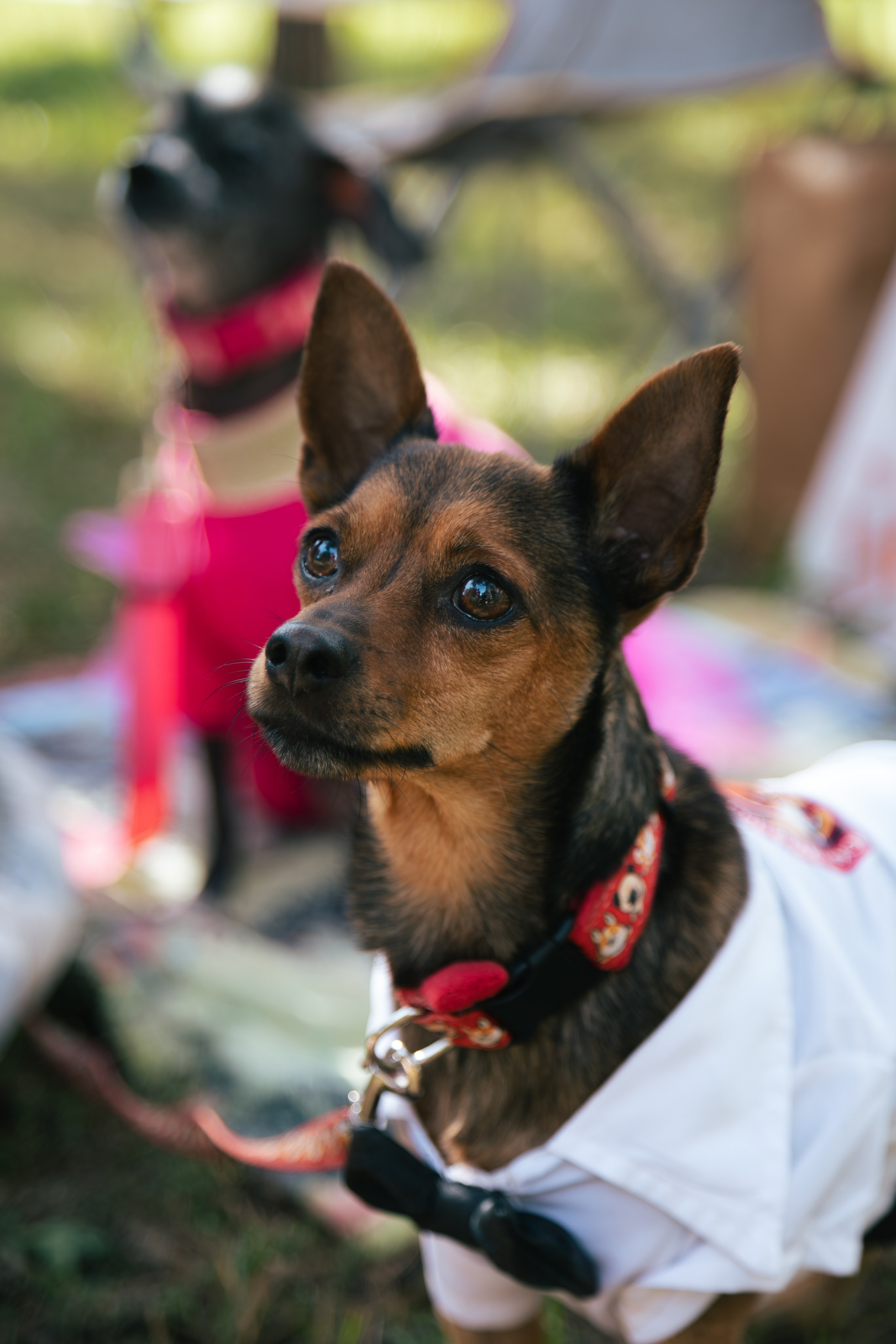 Репортаж. Репортажный и портретный фотограф в Омске Дарья Фральцова