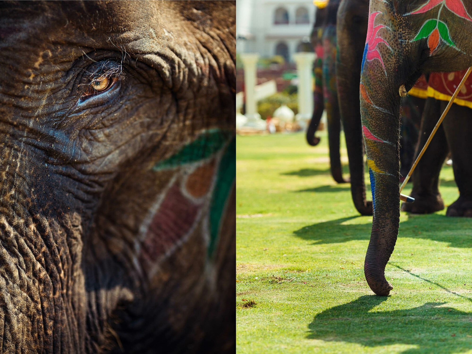 Свадьба в Индии, 1 и 2 день, свадебный репортаж. Свадебный фотограф в Санкт-Петербурге и Москве Андрей Нестеров