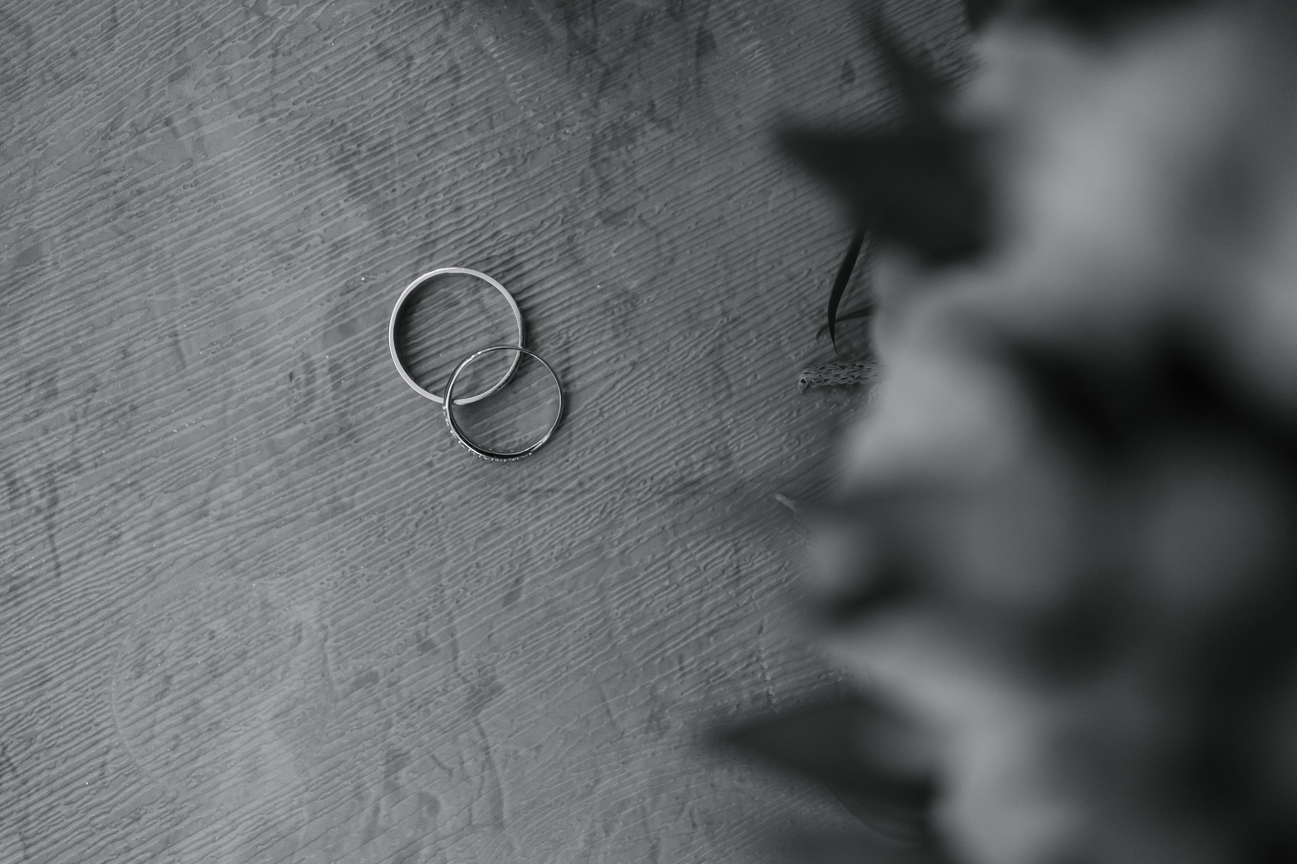 Клим/Ксения. Свадебный фотограф