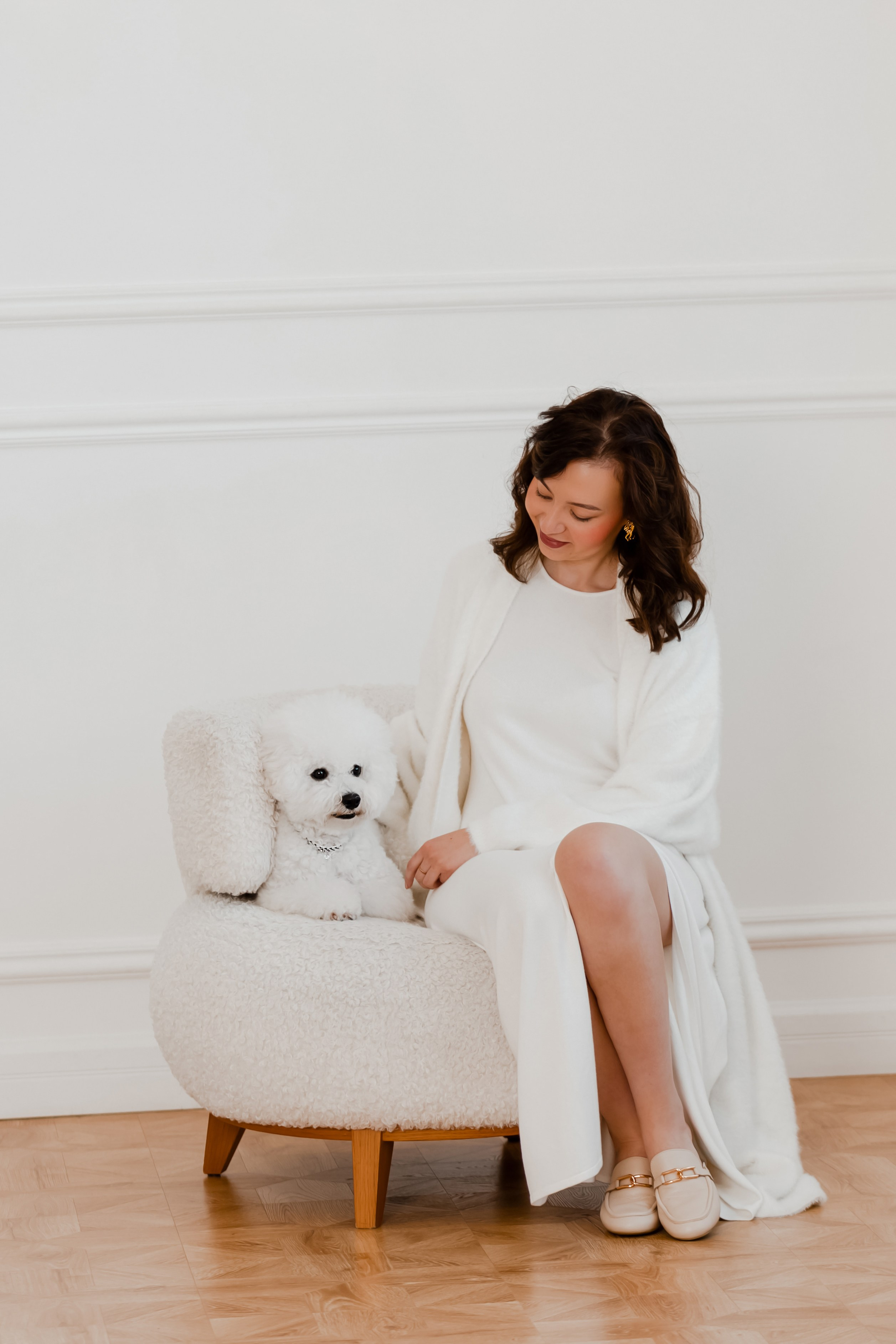 Бишон-фризе. Фотограф-анималист в Краснодаре Маша Мельникова