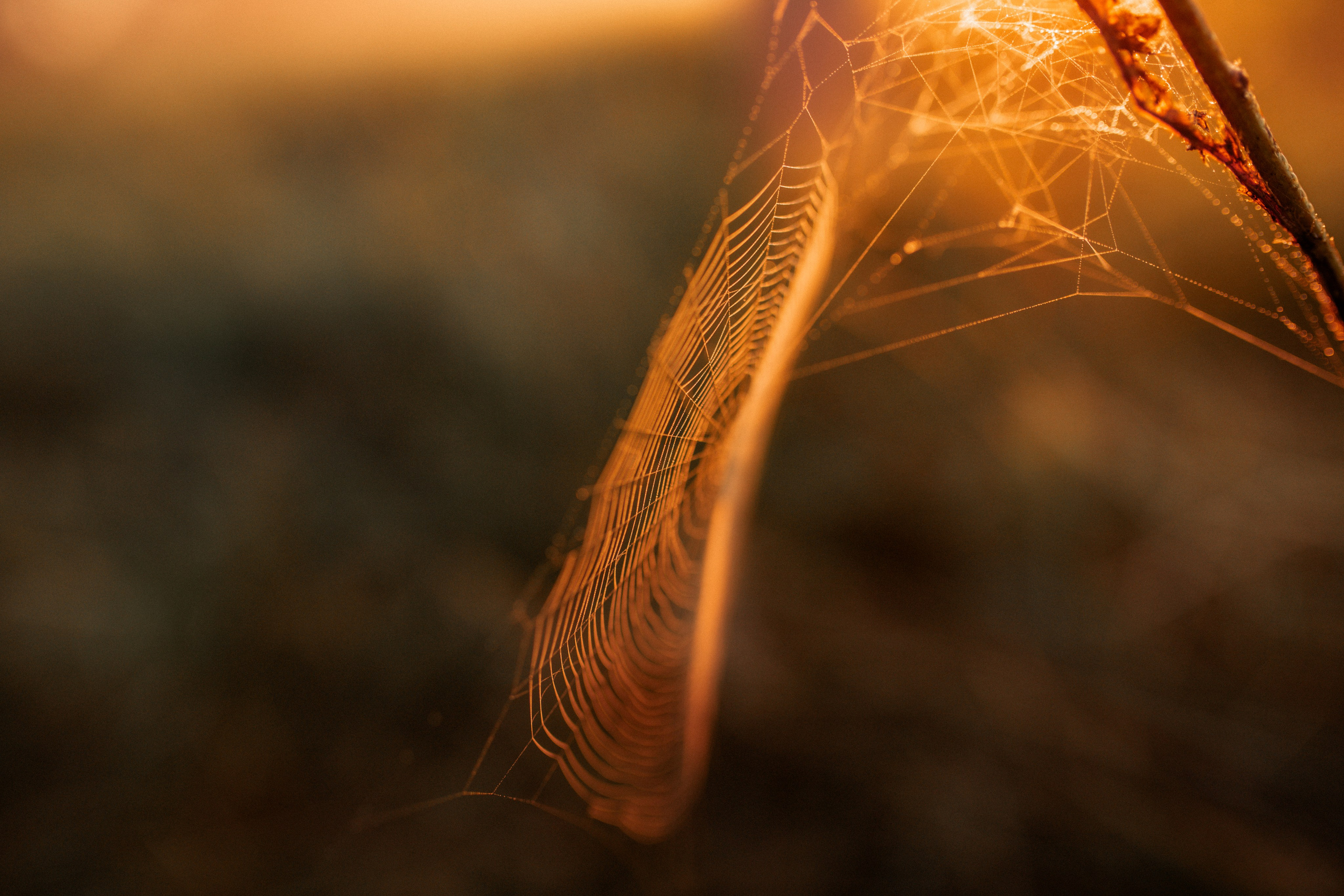 Рассвет для Юли