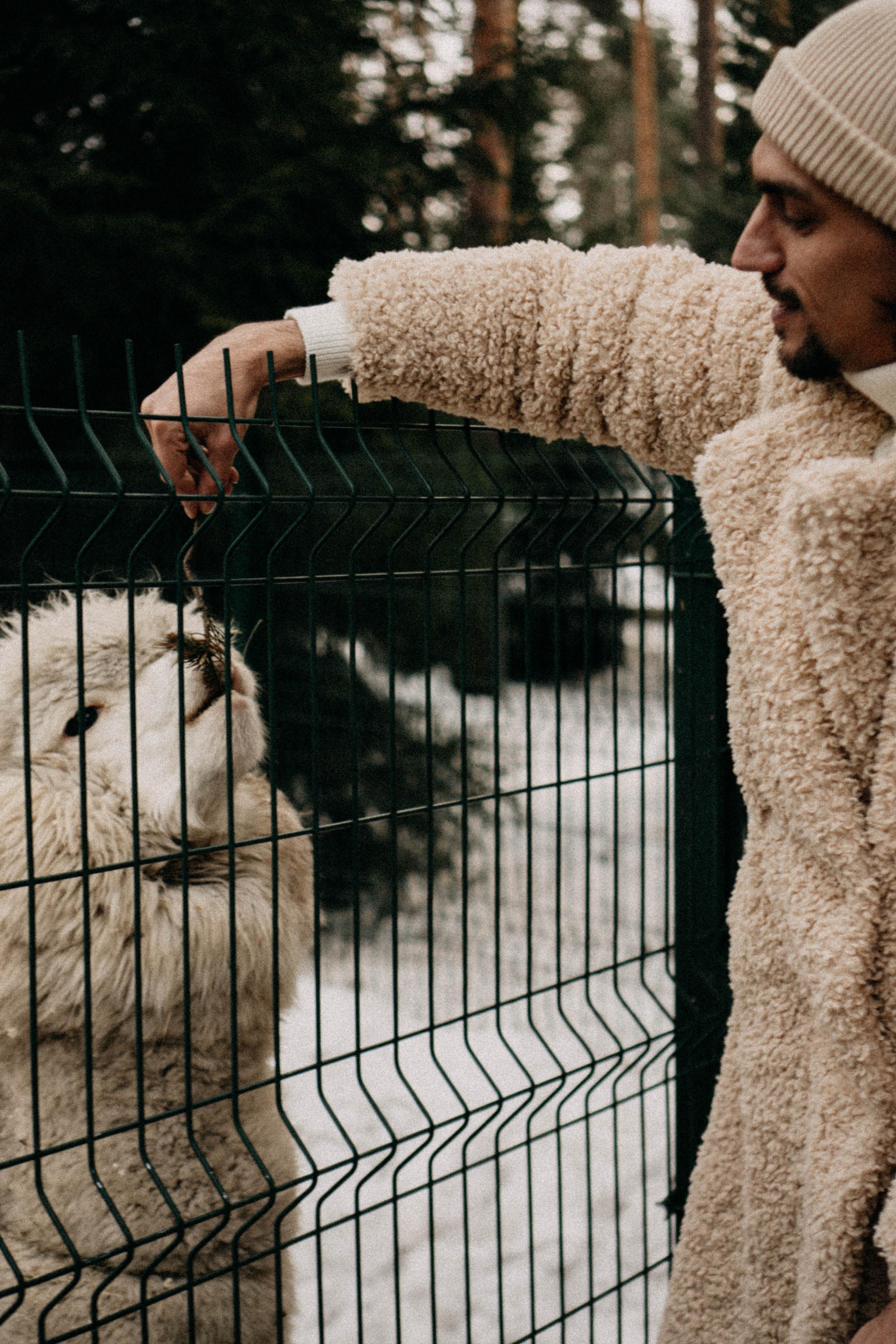 Каток. Профессиональный фотограф, Санкт-Петербург — Виктория Богомолова