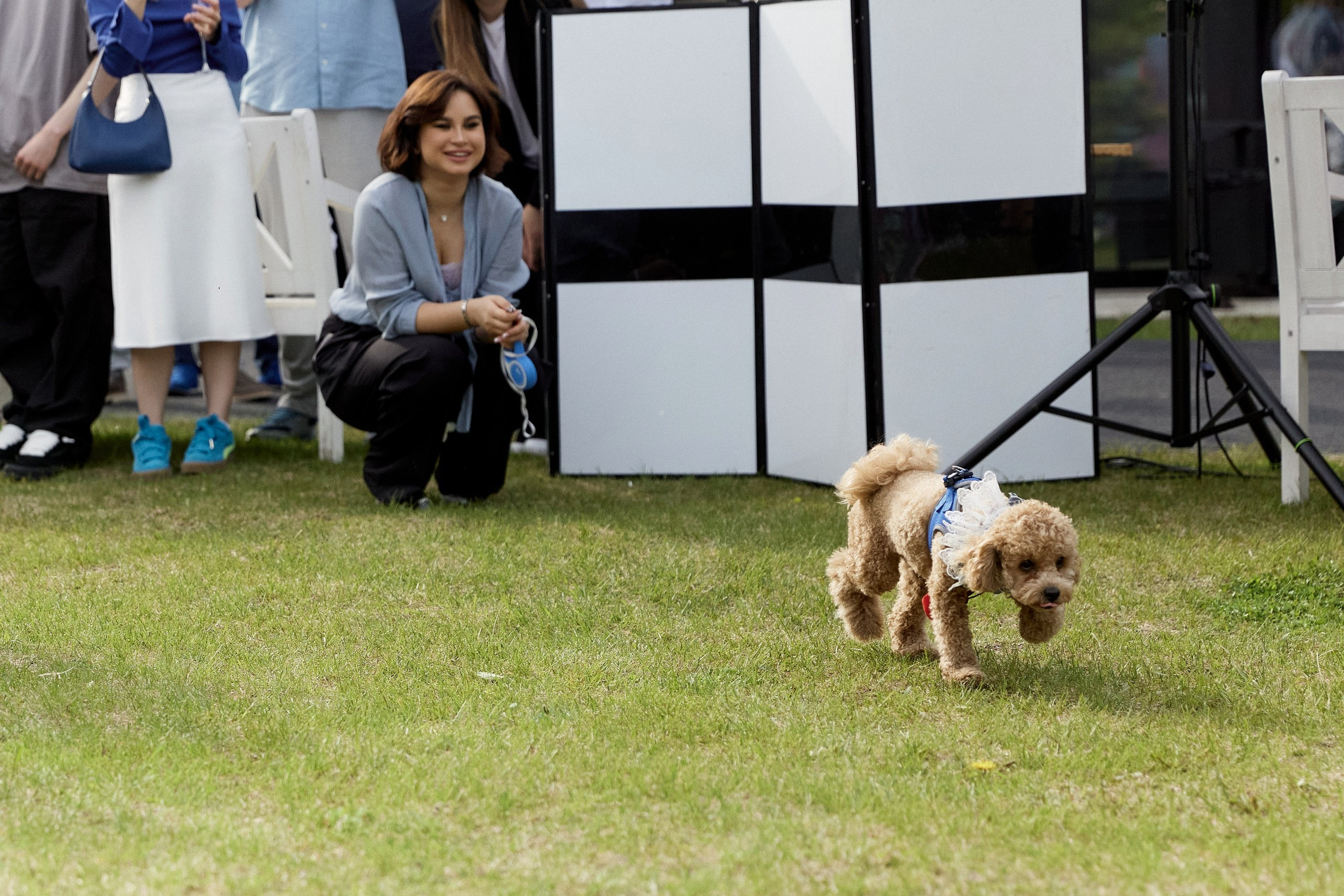Посмотреть серию. Свадебный и семейный фотограф в Красноярске Тряпчев Павел