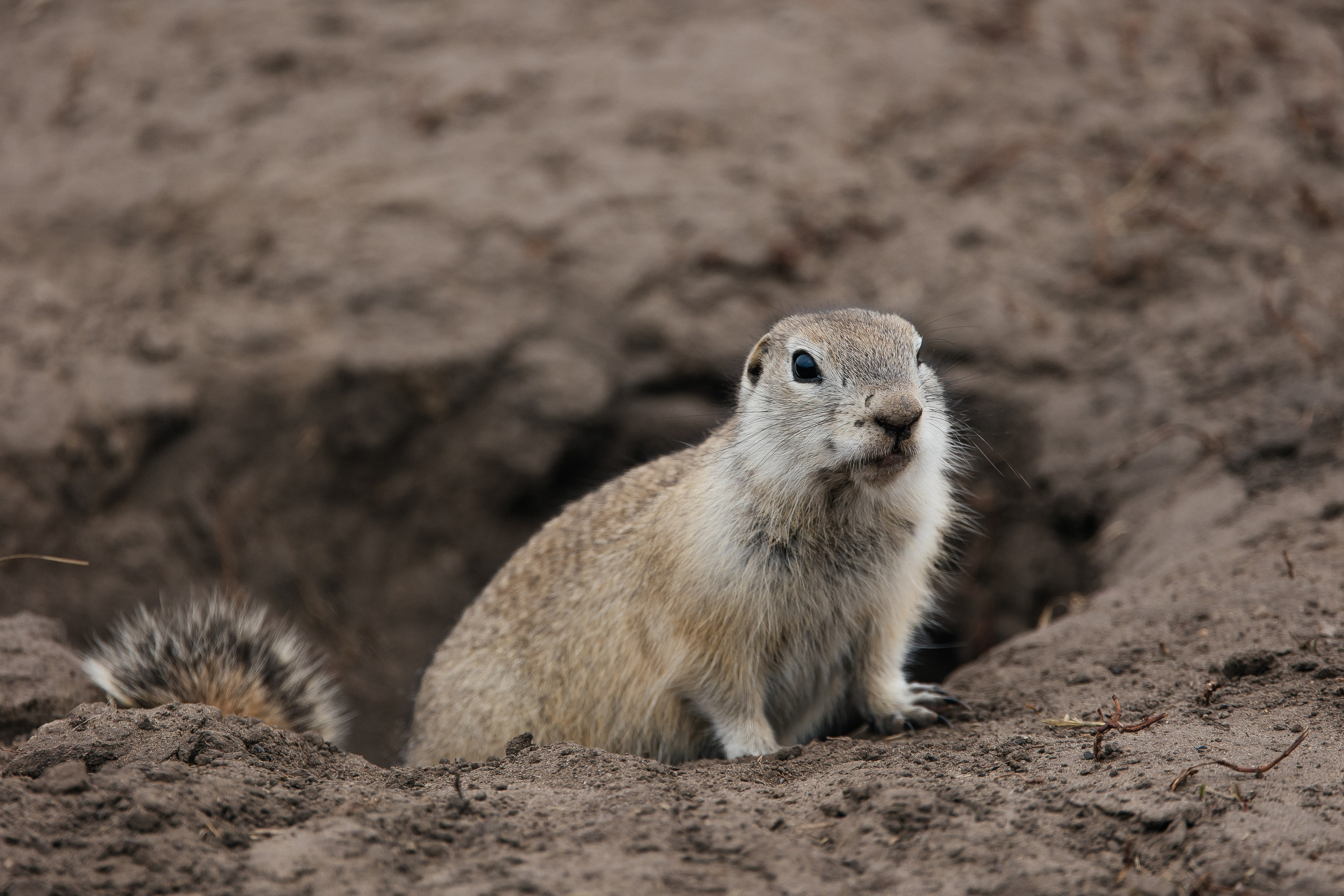 ПЕЙЗАЖ И ЛЮДИ. Саргылана Афанасьева