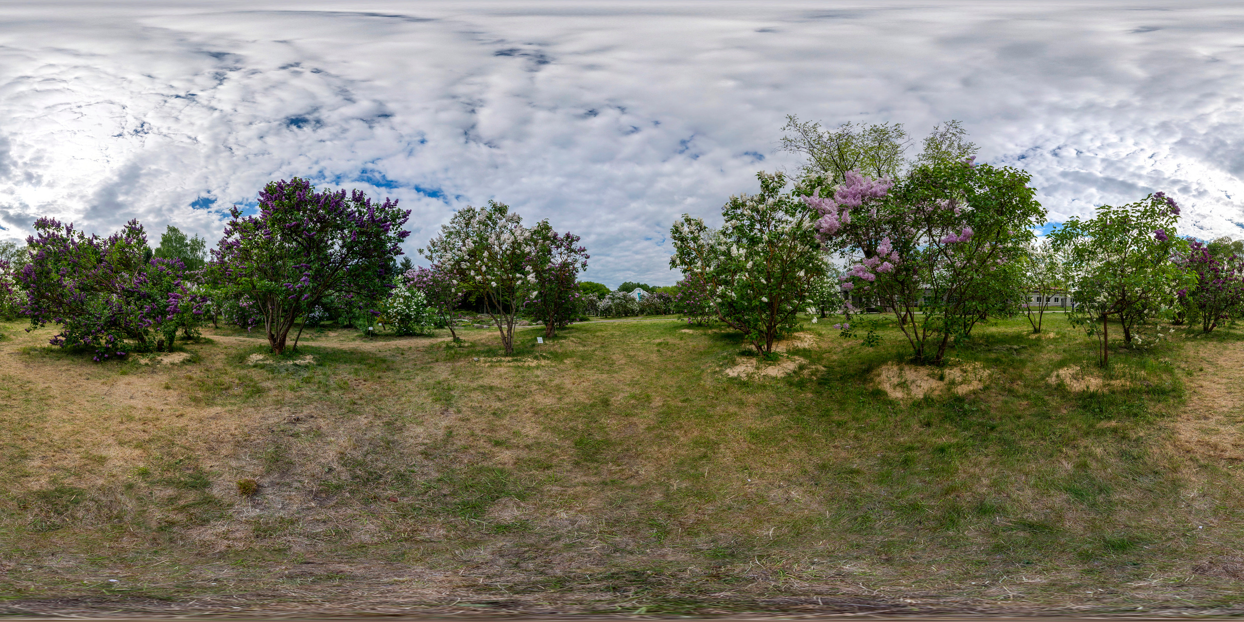 Сферические панорамы. Фотограф Платон Македонский