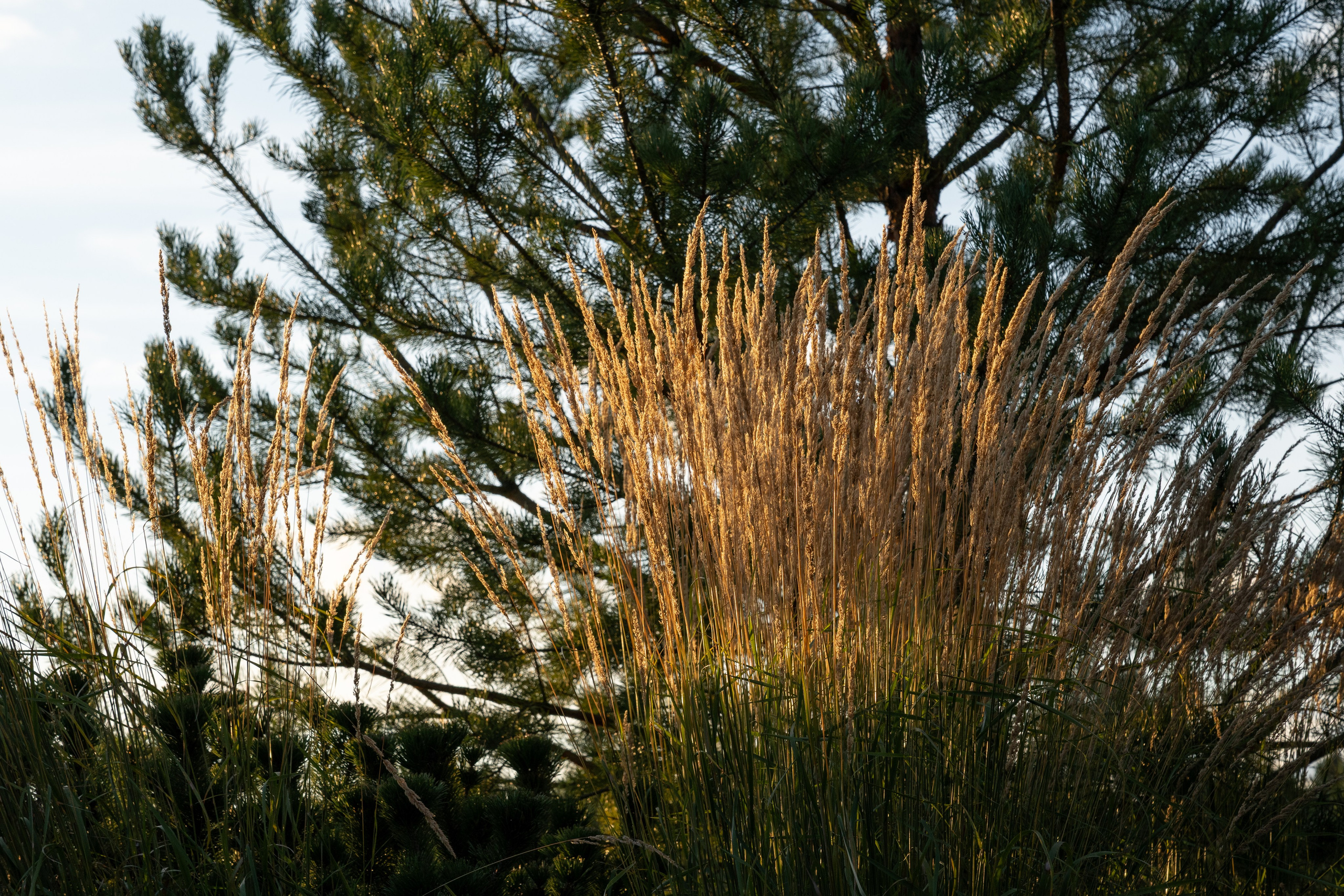 Private house, Moscow region. Артамонов Александр | Архитектурный и ландшафтный фотограф