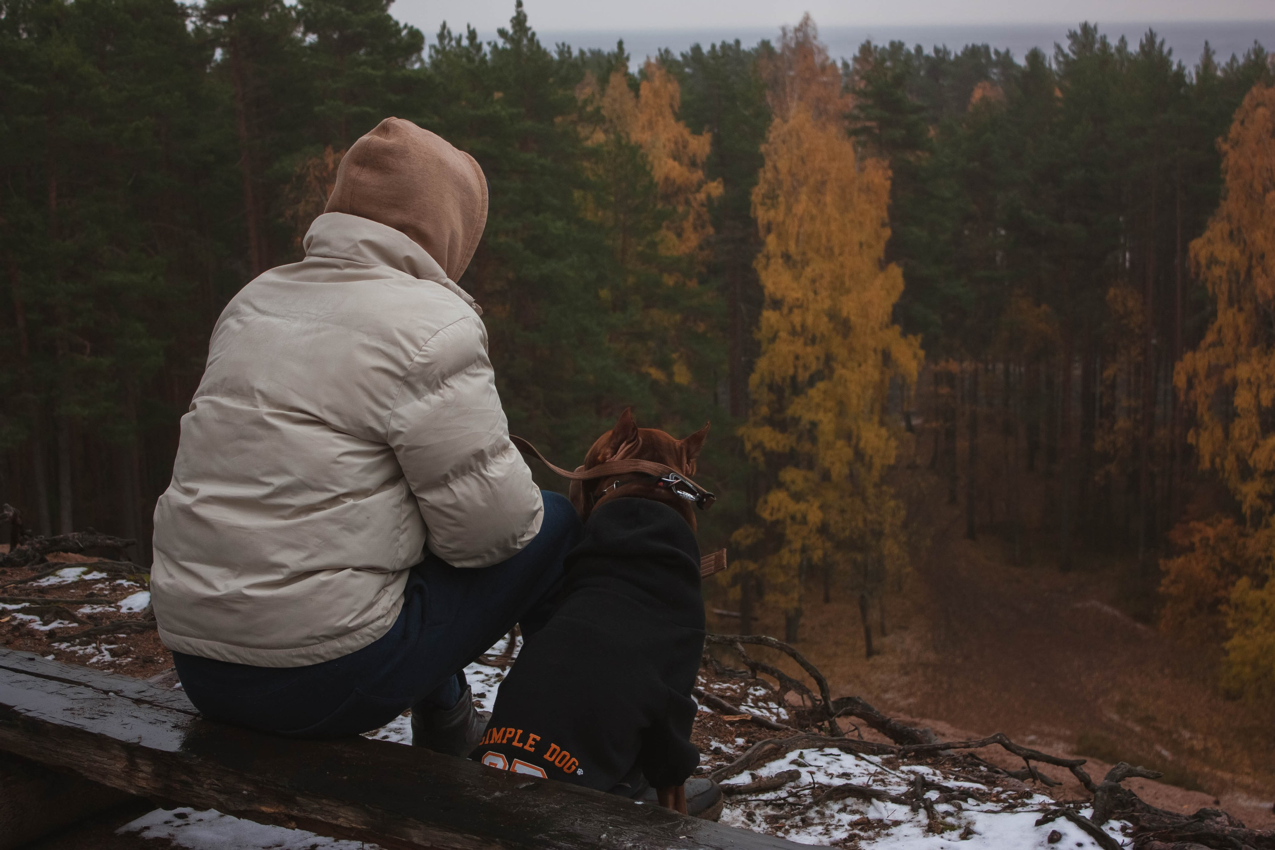 Айрон и Егор. Фотограф-анималист в Санкт-Петербурге Алина Яхонт