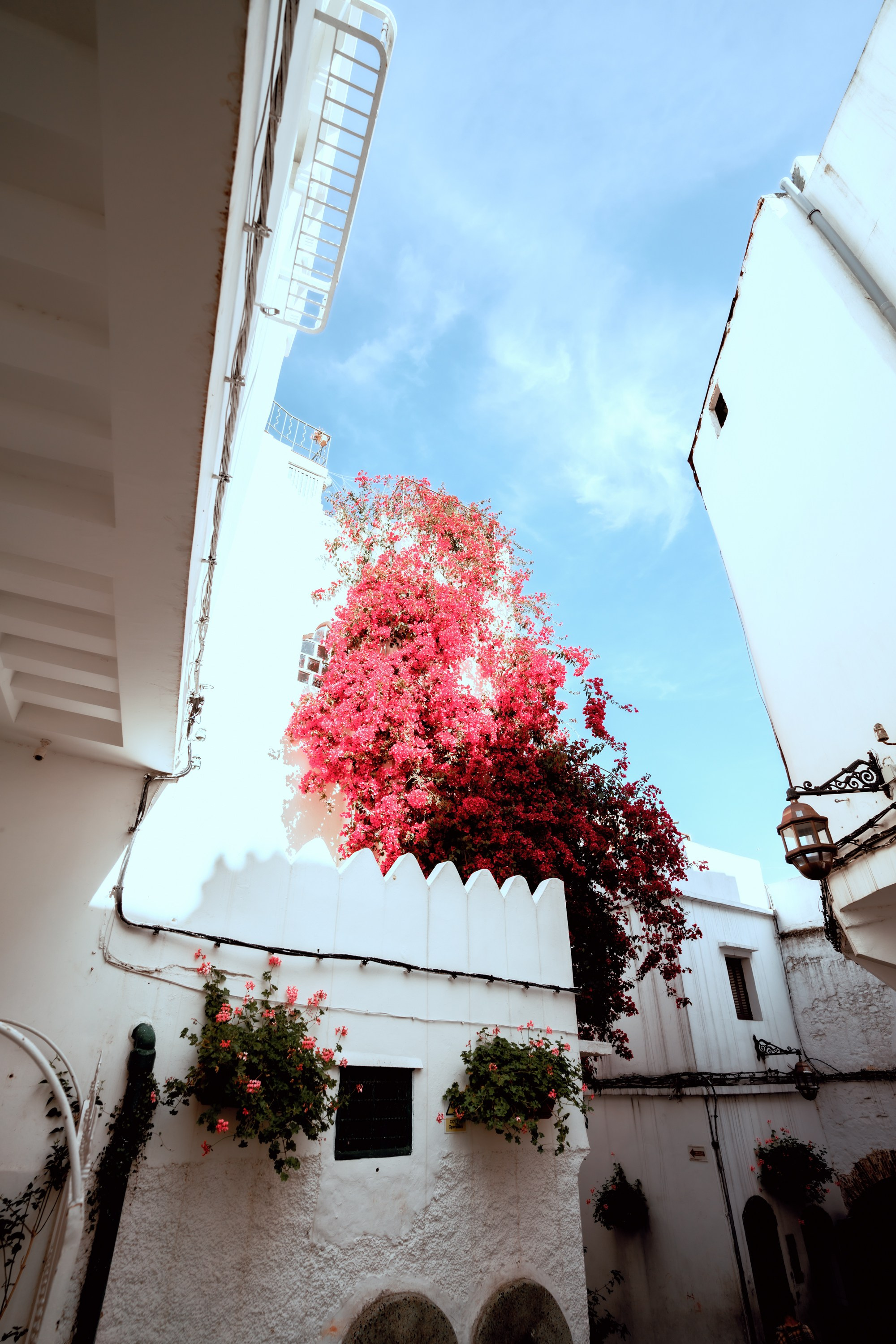 Северная Африка: Тунис, Марокко. Фотограф в Хабаровске. Фотография за 24 часа