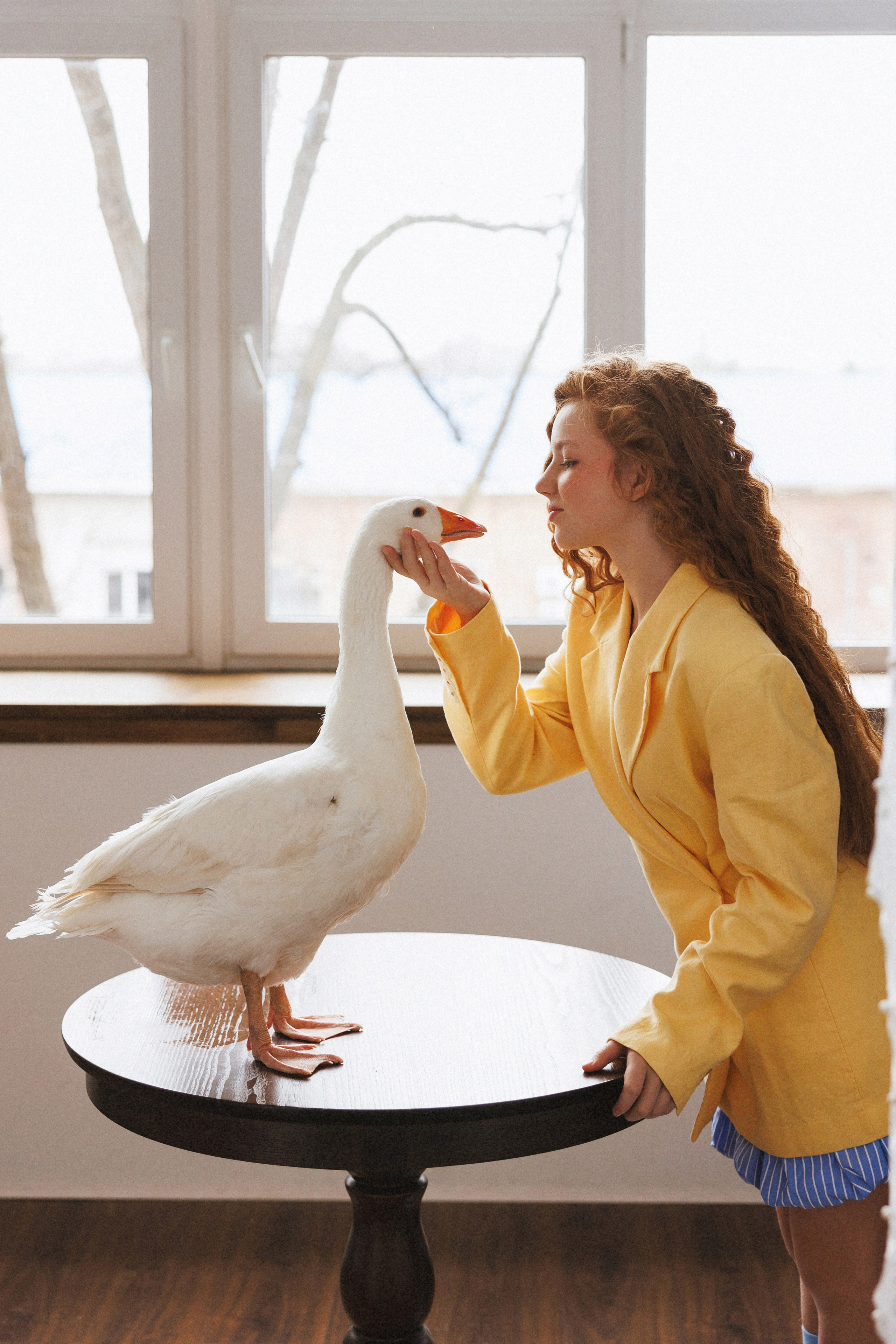 Фотосессия с Гусем в фотостудии «Lite, город Краснодар. Семейный и детский фотограф в Краснодаре Анна Трашкова