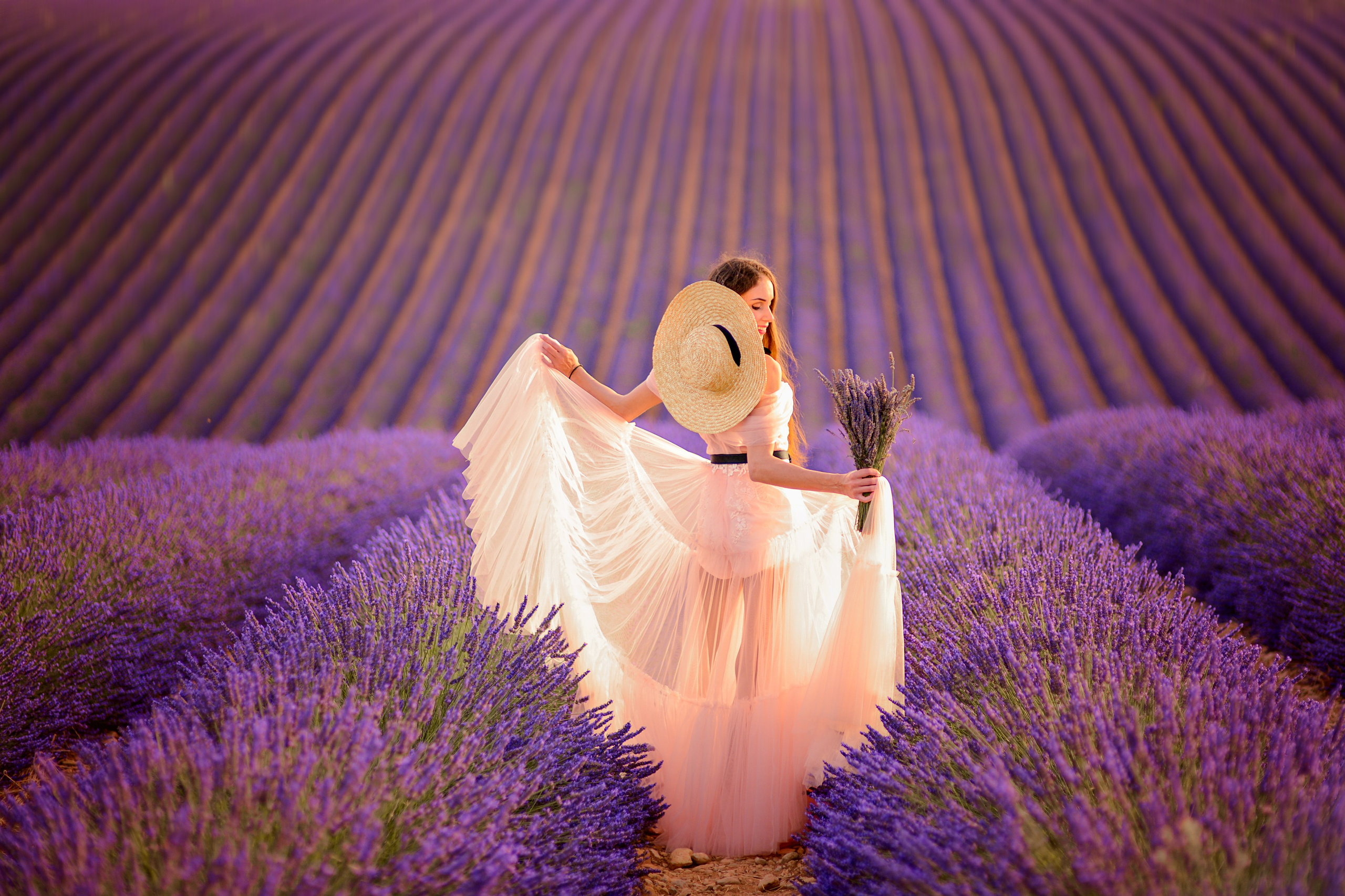 Lavender. Photographer in Provence Julia Lipiainen