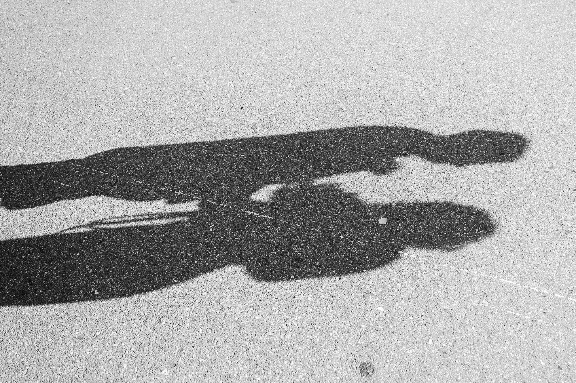 Денис и Екатерина ВДНХ. Свадебный фотограф в Дубне Алексей Фонарёв