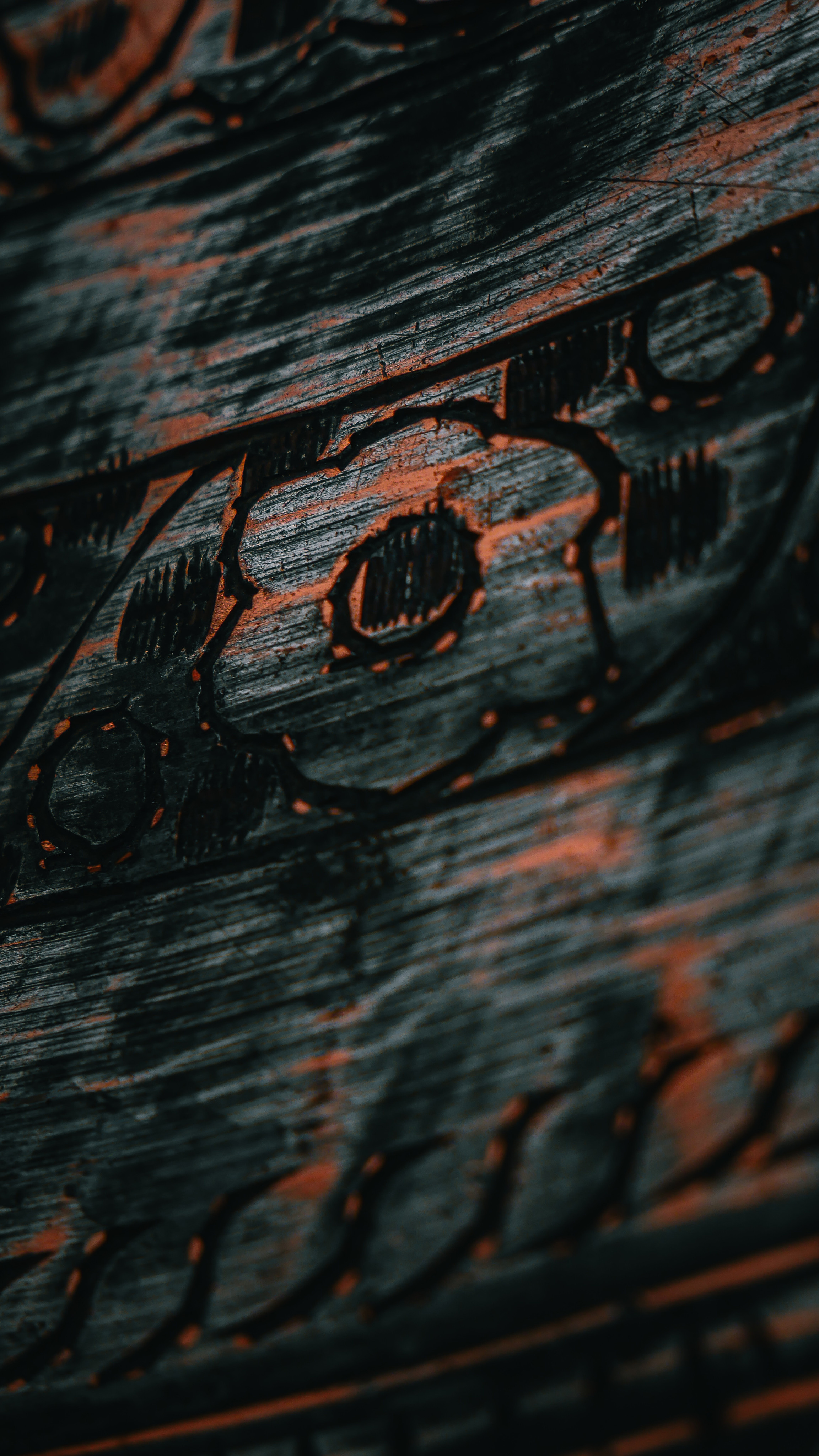 Subject. Ваш любимый фотограф