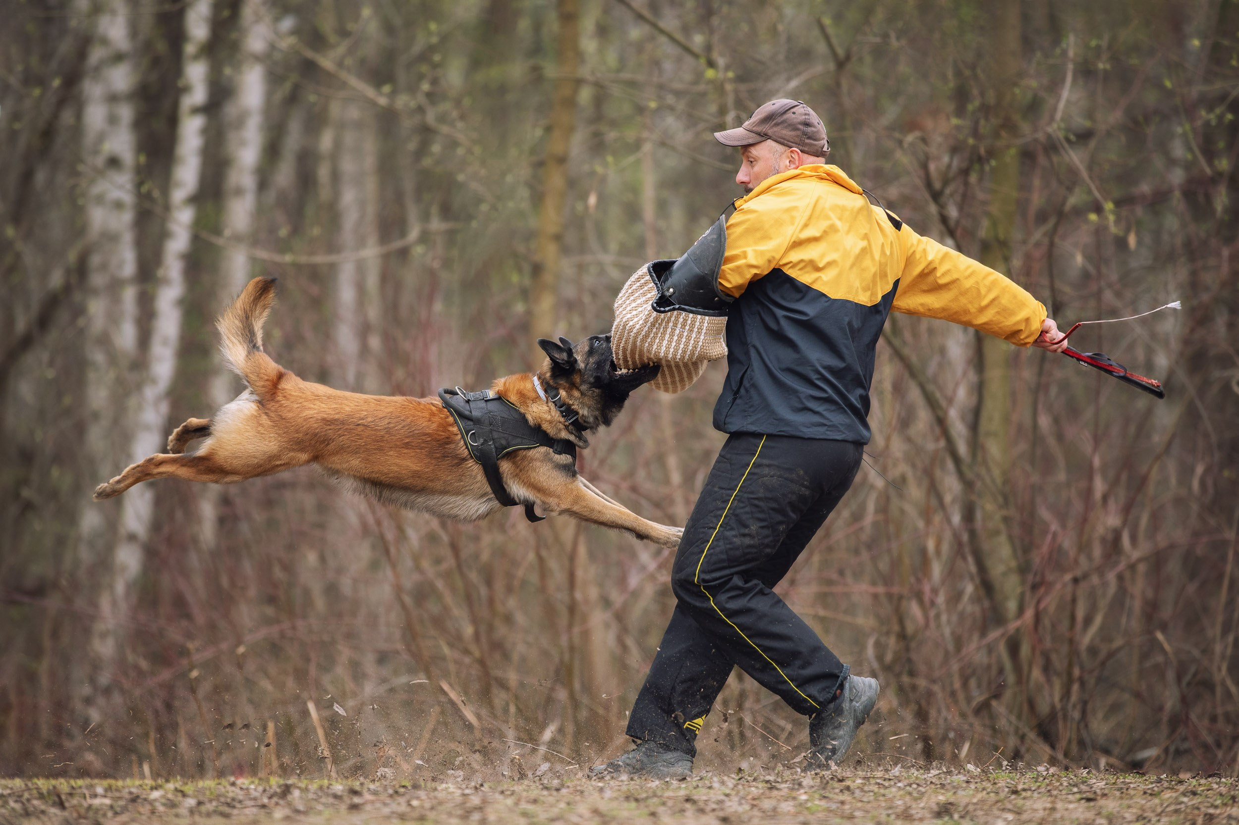 Съемка для рекламы услуг кинолога. Фотограф-анималист в Москве и Московской области Татьяна Фролова