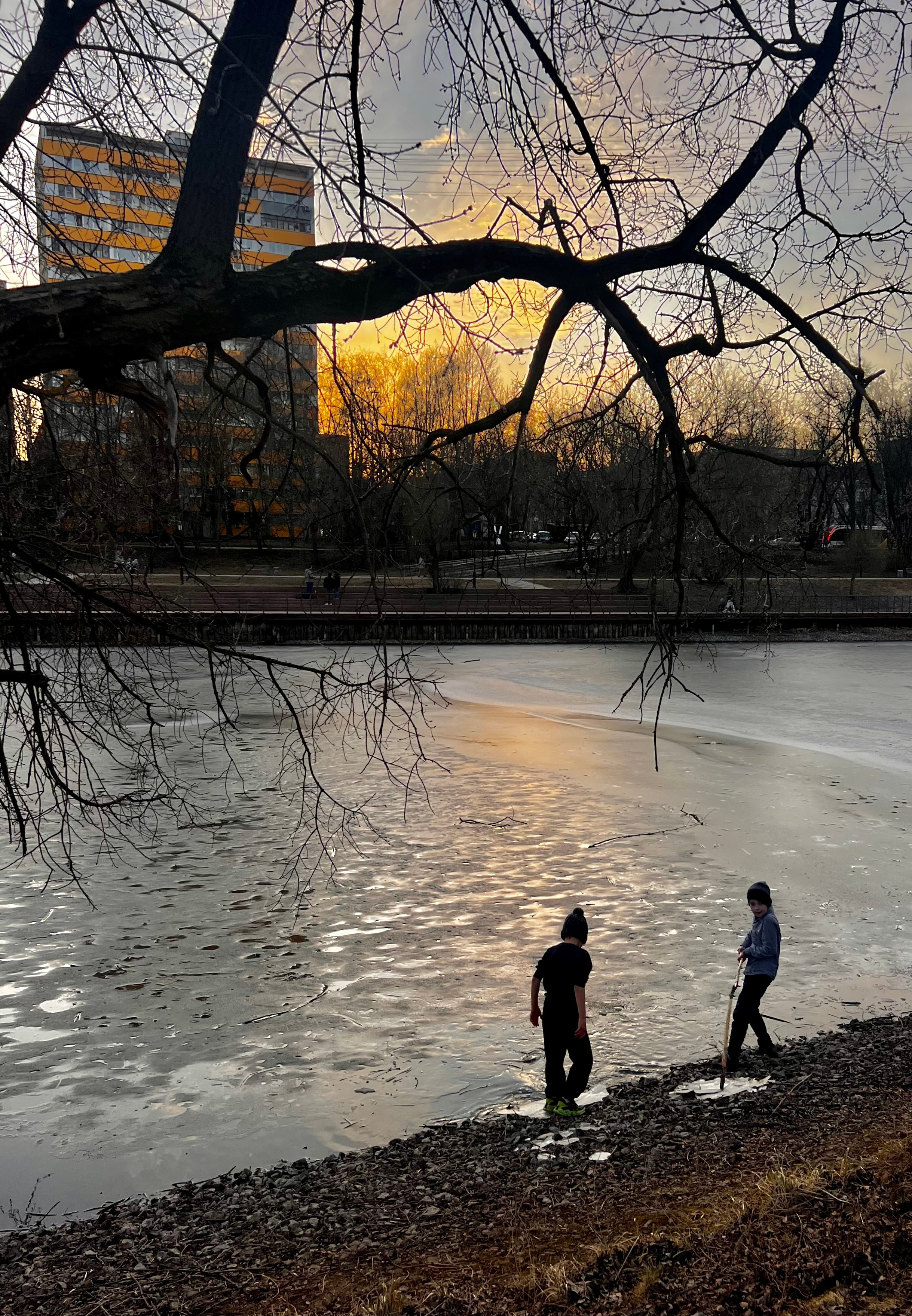 Автор: Анастасия Власова